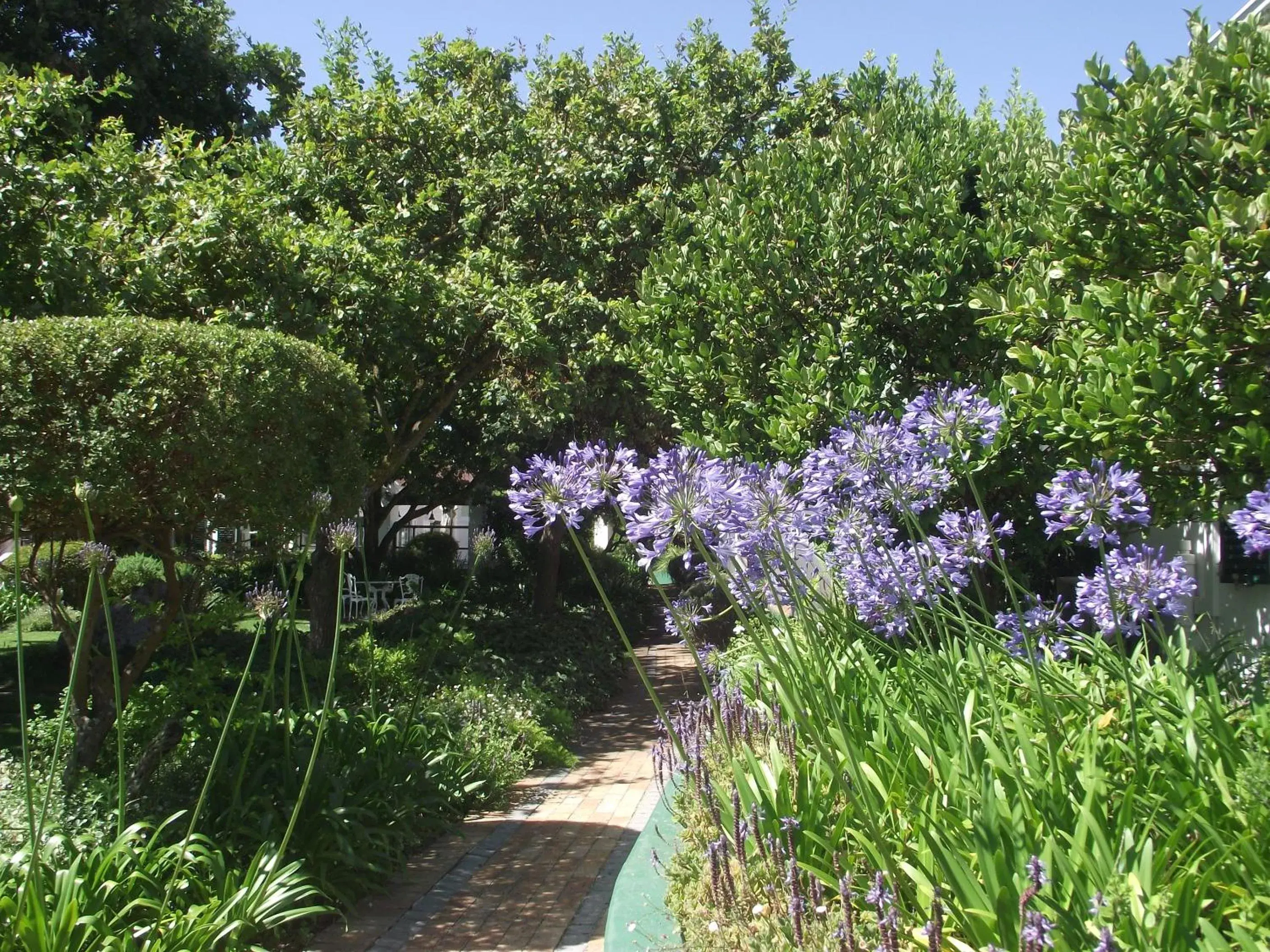 Garden in Eikendal Lodge