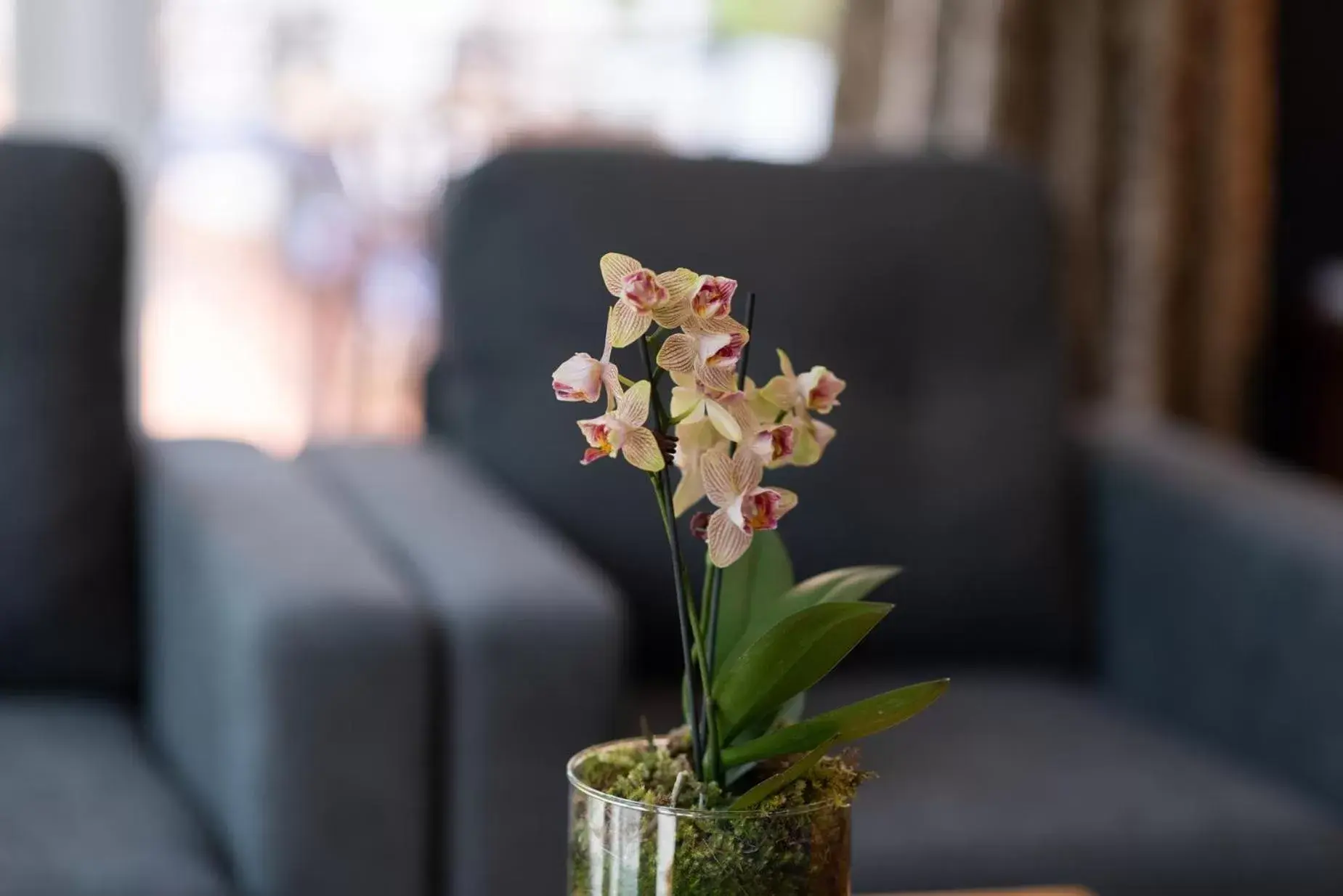 Decorative detail, Seating Area in Pāteke Lodge