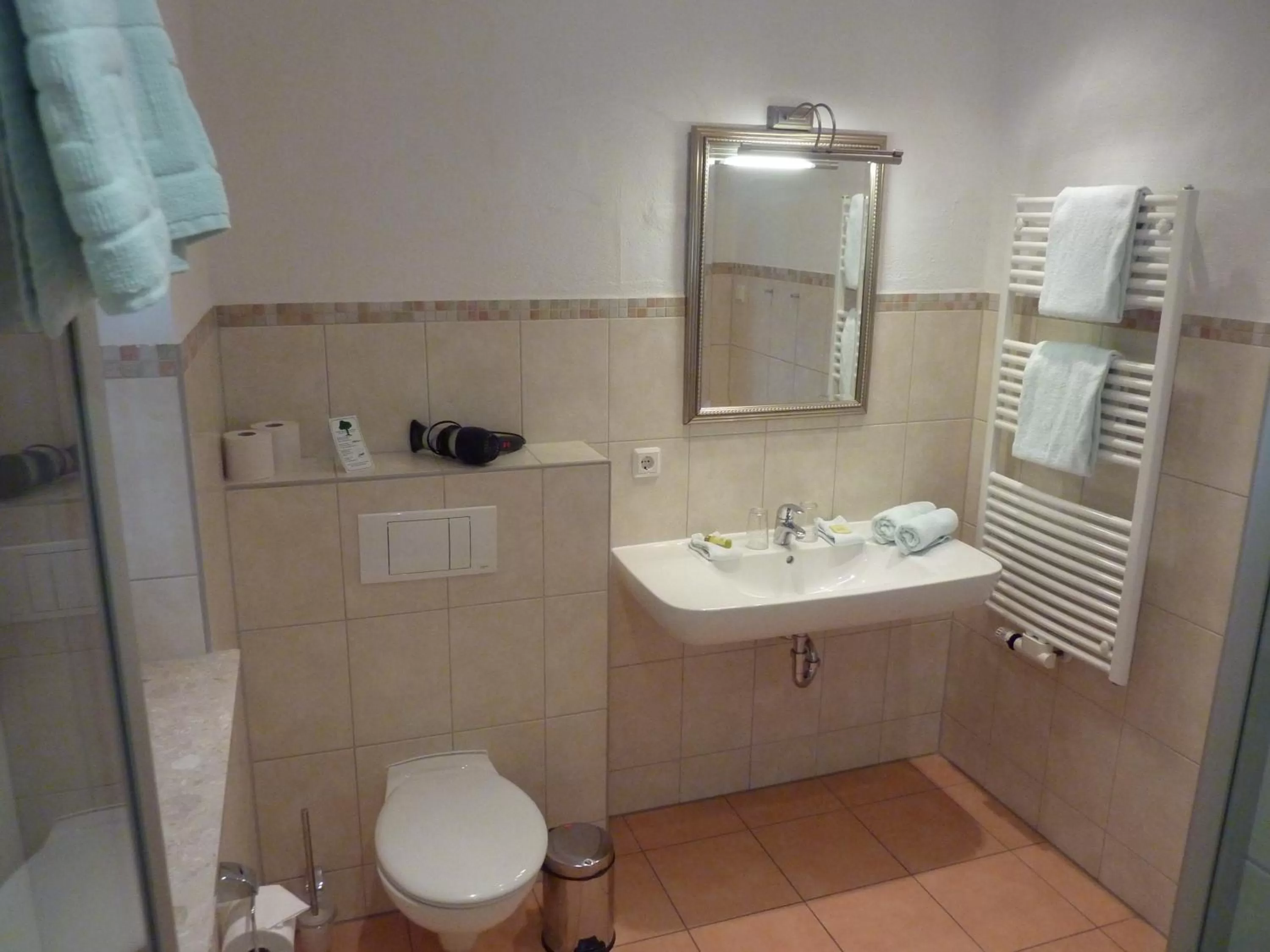 Bathroom in Zum Schlangenkönig