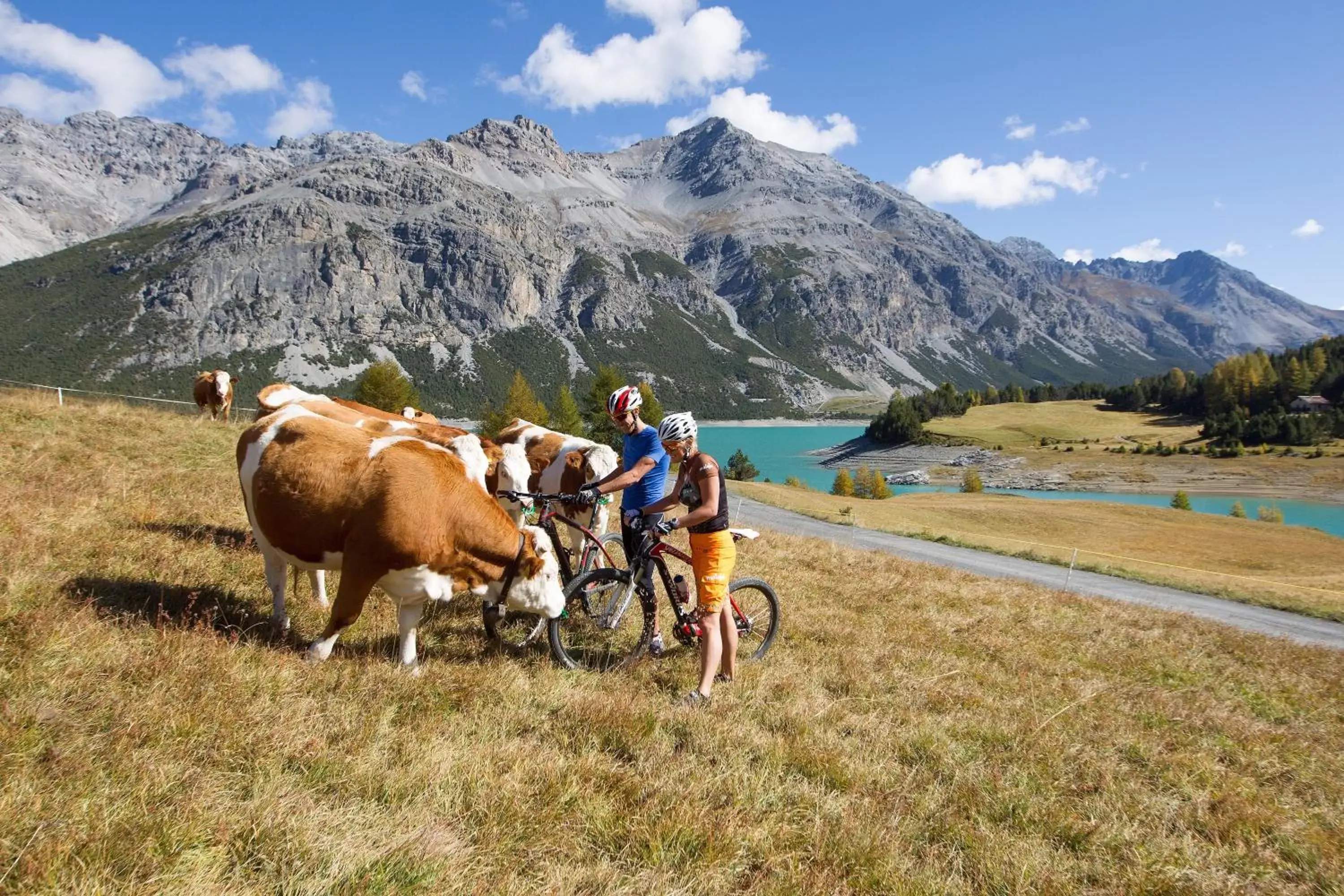 Cycling, Horseback Riding in Meublè Garnì Della Contea