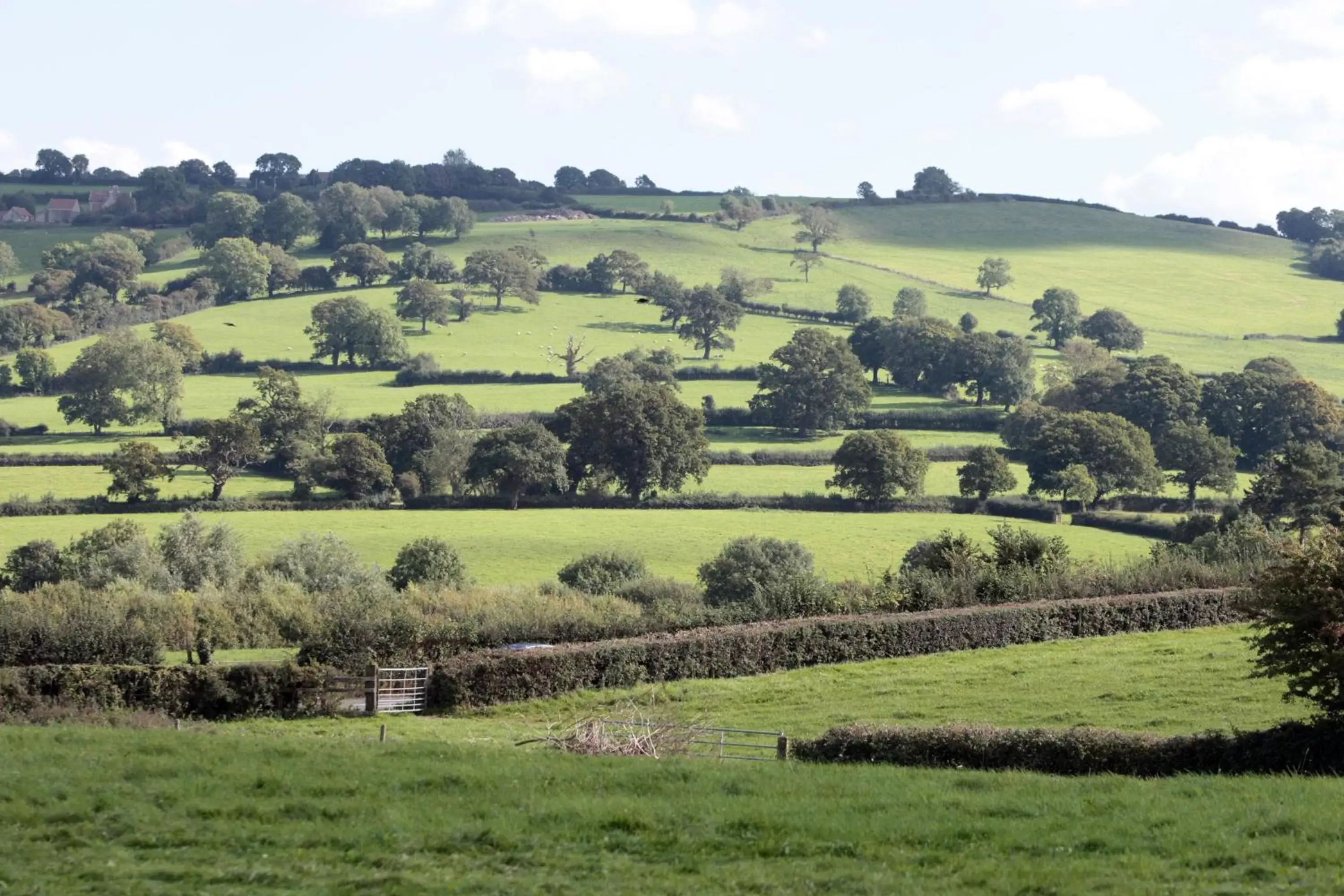 Natural landscape, Bird's-eye View in Fox & Goose, Barrow Gurney by Marston's Inns