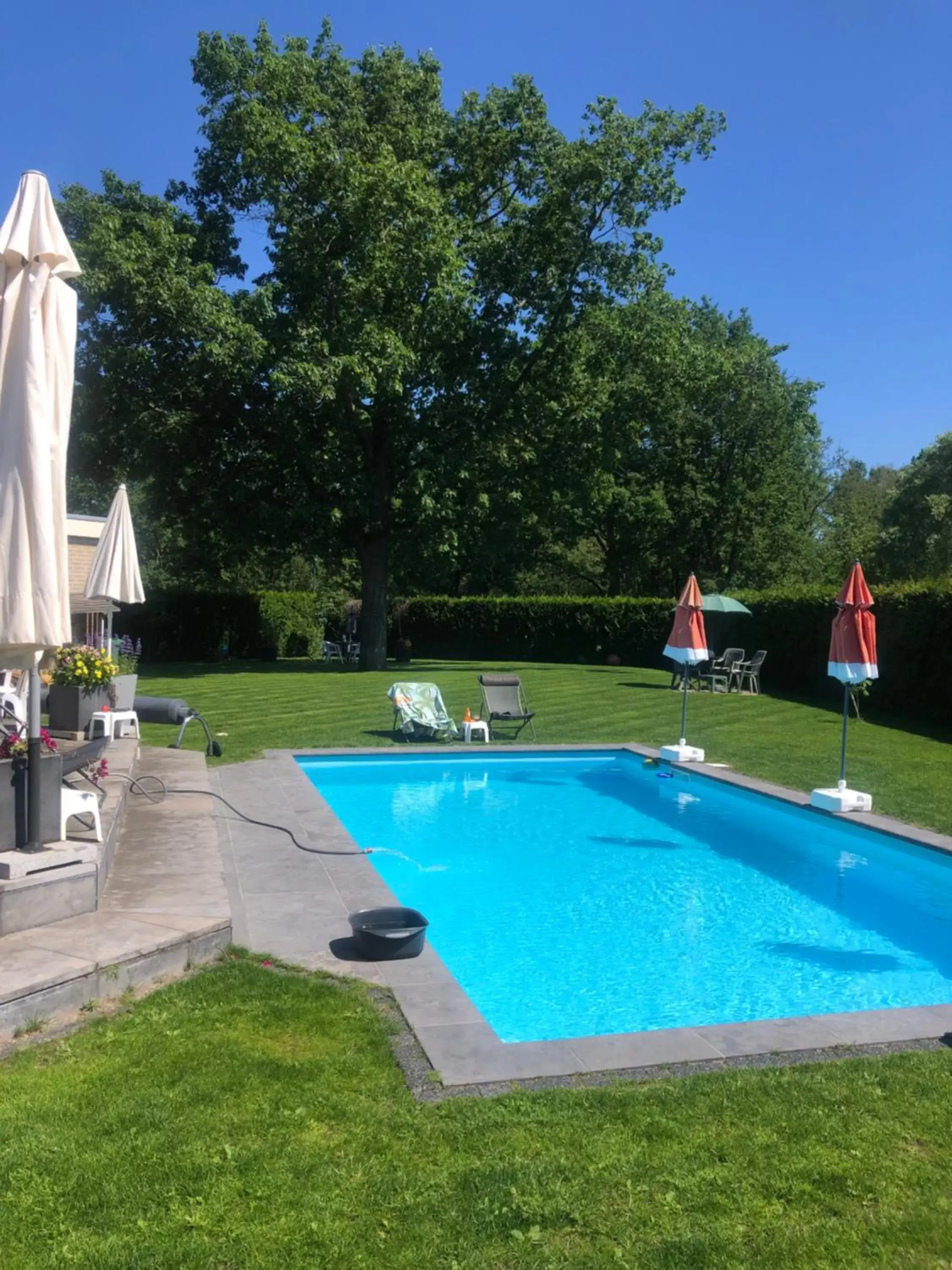 Garden view, Swimming Pool in B&B Maison Saint Tropez Eindhoven