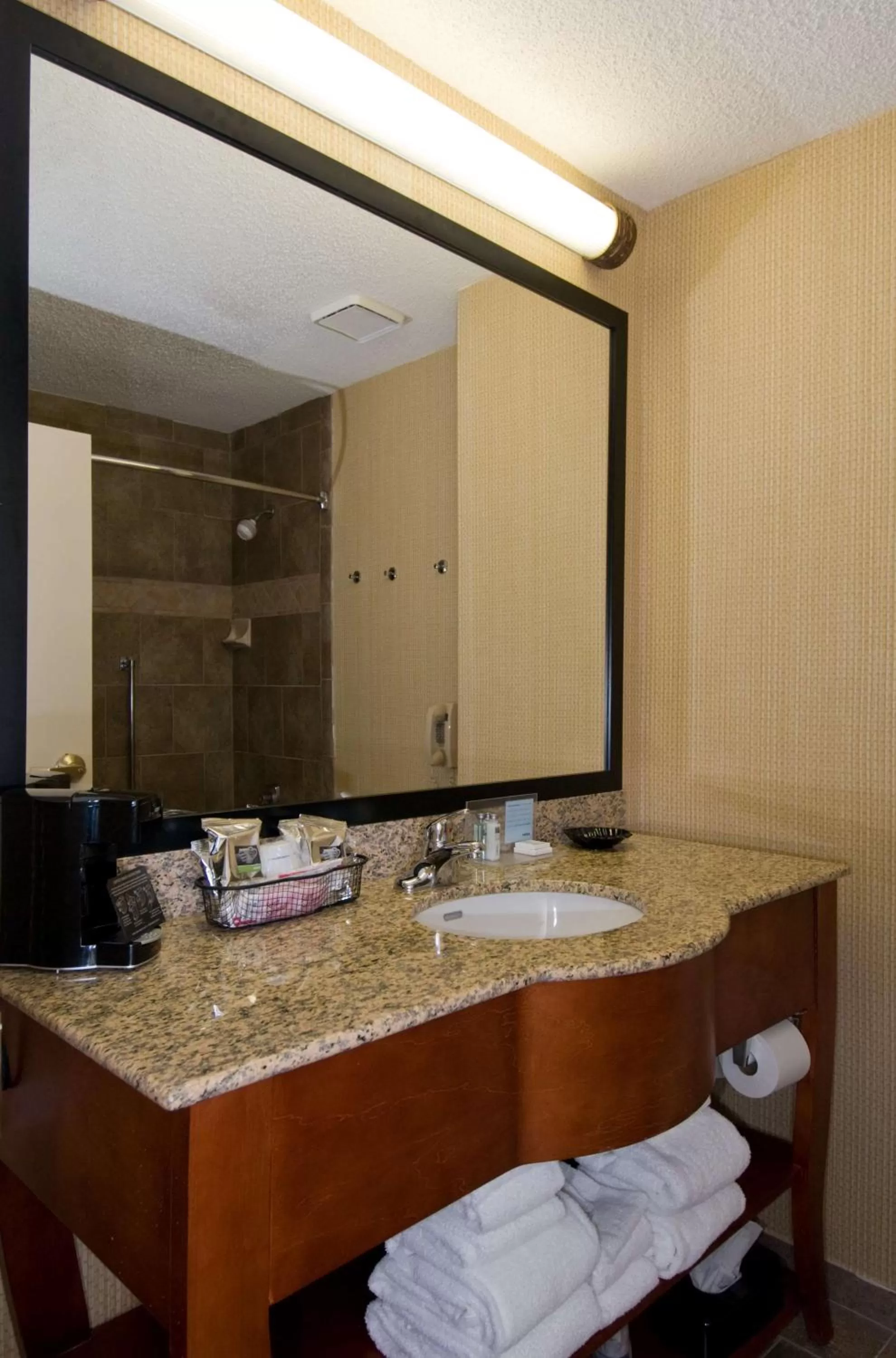 Bathroom in Hampton Inn Atlanta/Peachtree City