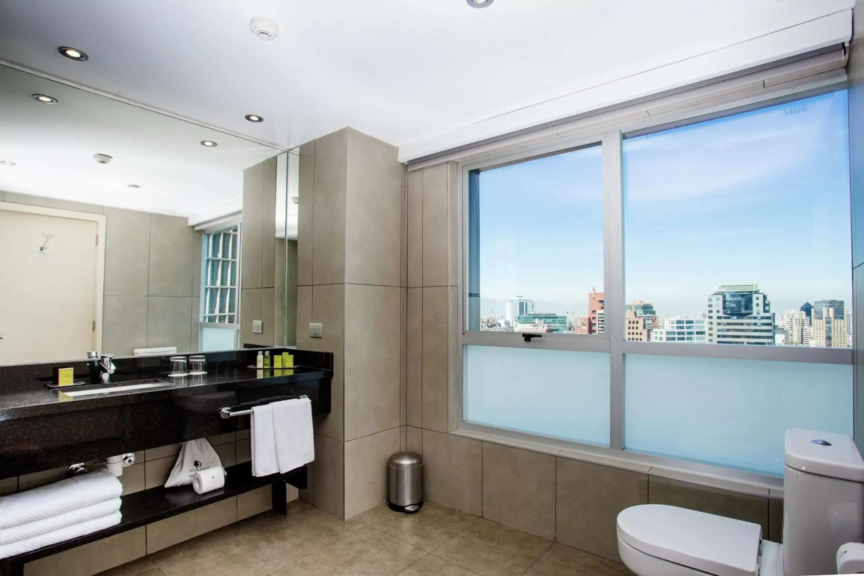 View (from property/room), Bathroom in DoubleTree by Hilton Santiago - Vitacura