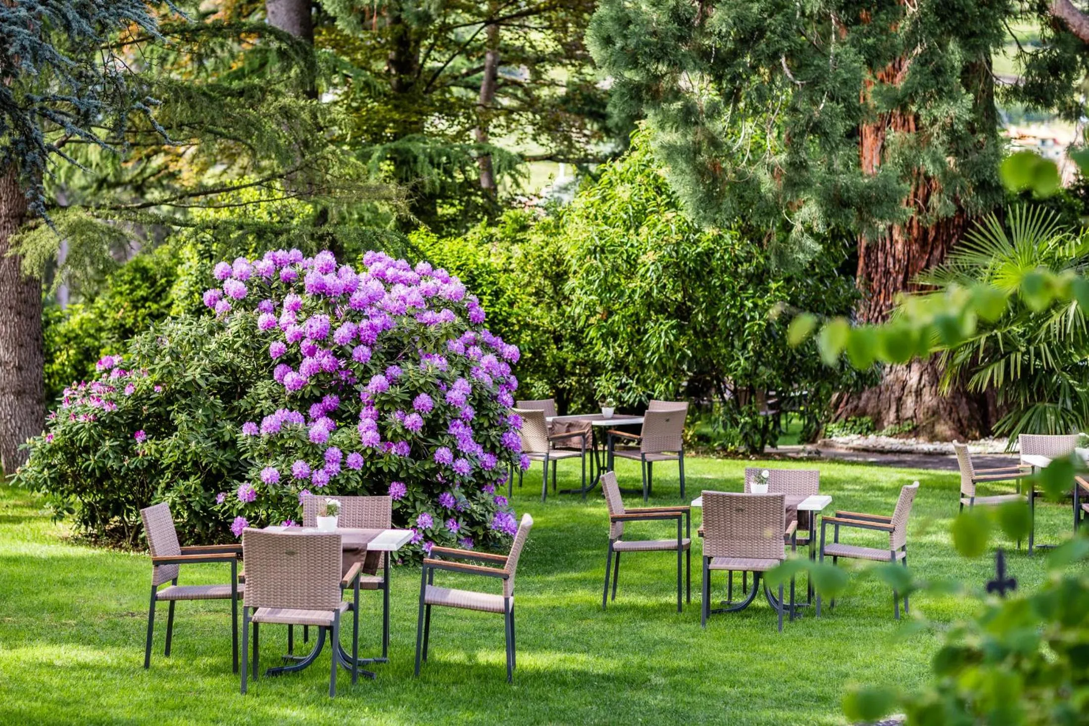 Garden in Hotel Sonnenhof