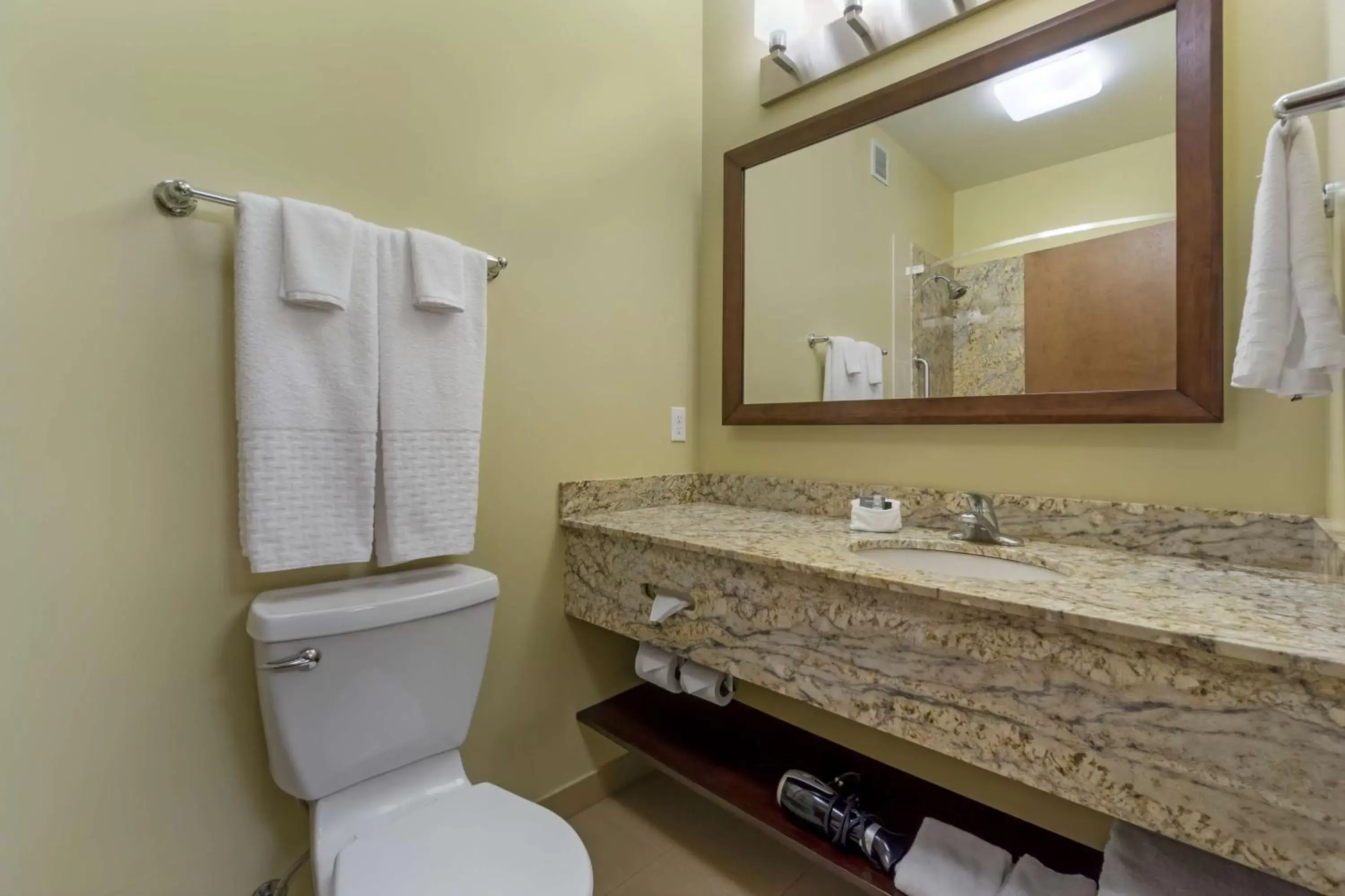 Bathroom in Best Western Plus Lacey Inn & Suites