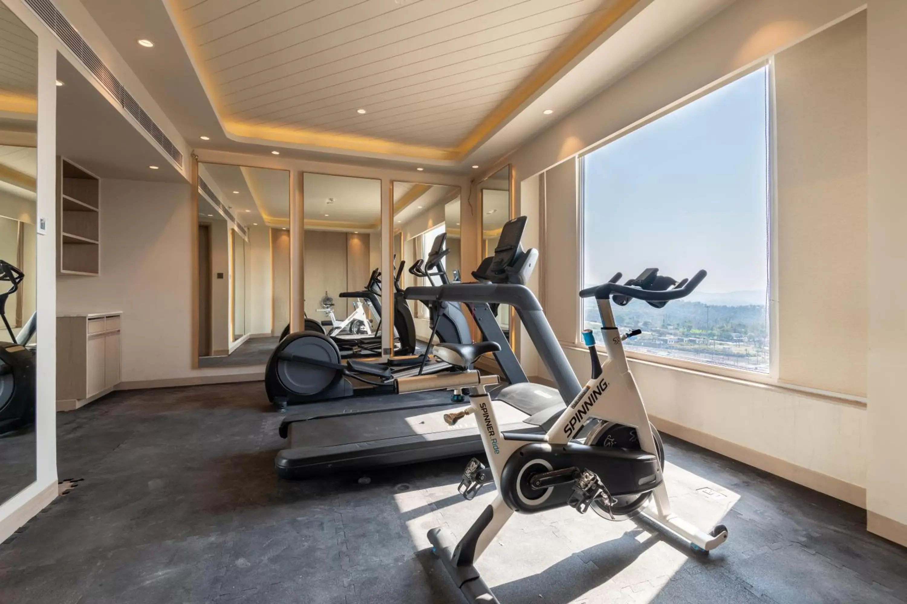 Fitness centre/facilities, Fitness Center/Facilities in Holiday Inn Katra Vaishno Devi, an IHG Hotel