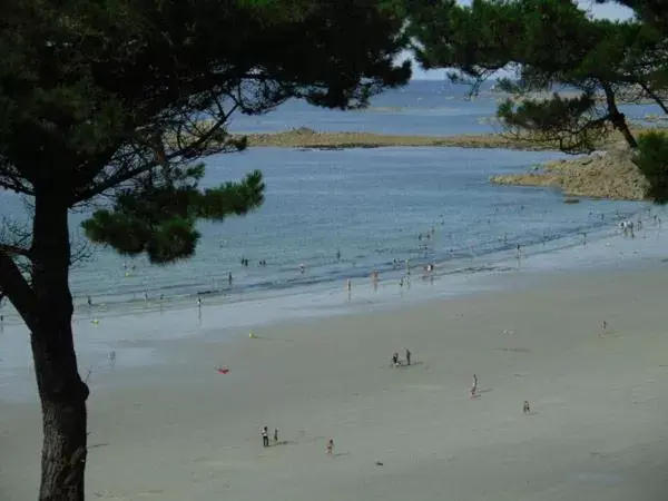 Beach in Les Hortensias - Chambres d'Hôtes