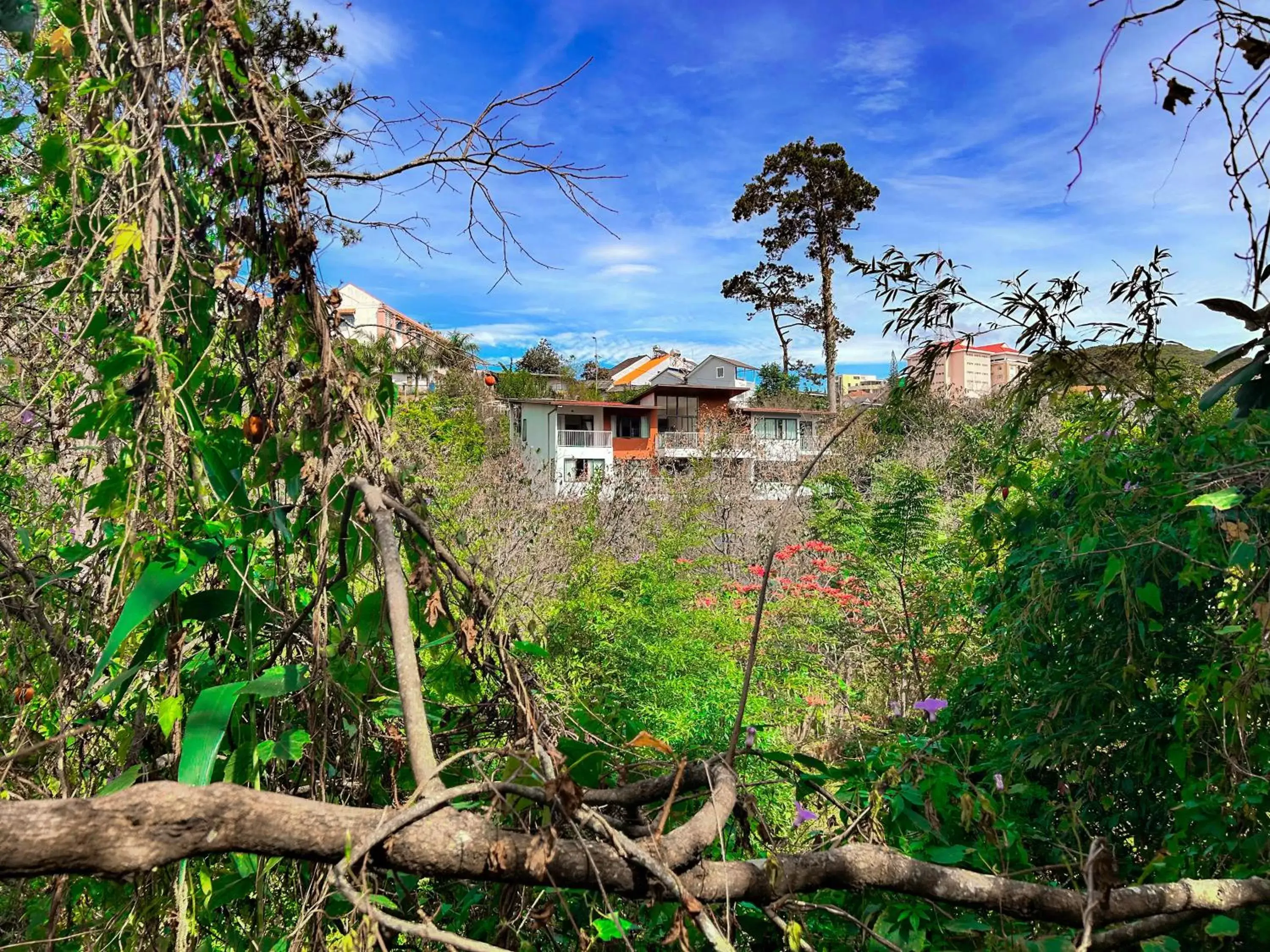 Garden, Property Building in Hong Mon Villa