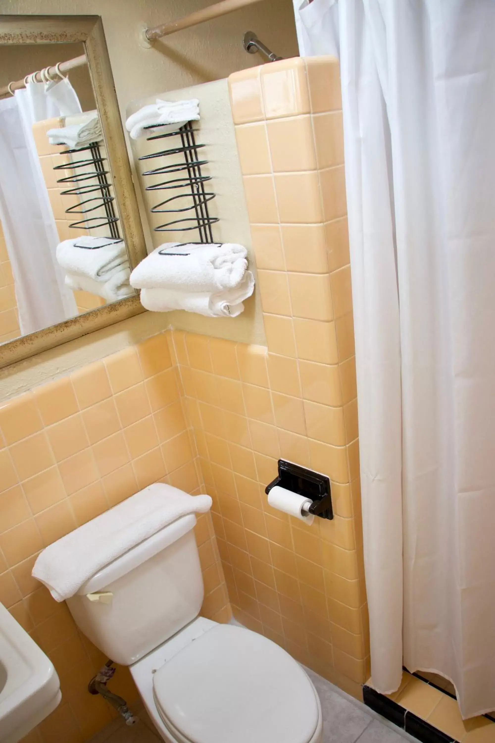 Shower, Bathroom in Royal Inn - North Augusta - Home Of The Masters - Augusta Downtown