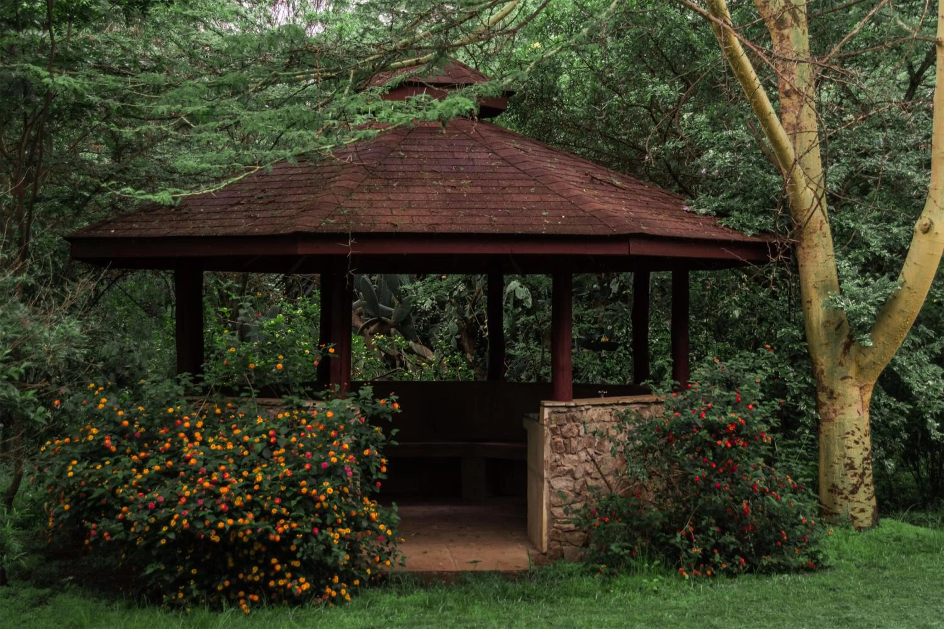 Property building in Oilepo Cottage