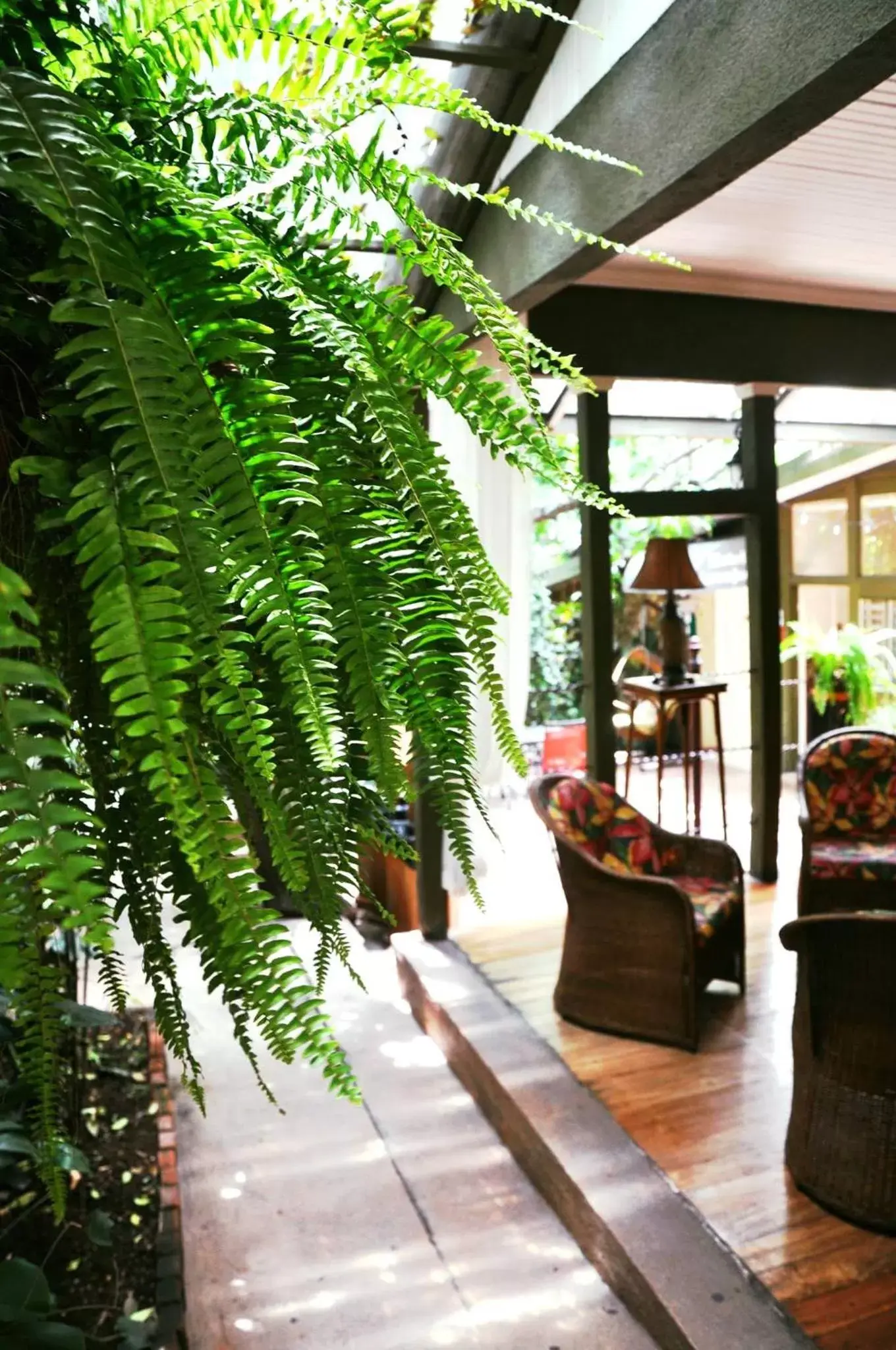 Patio in Hotel Aranjuez