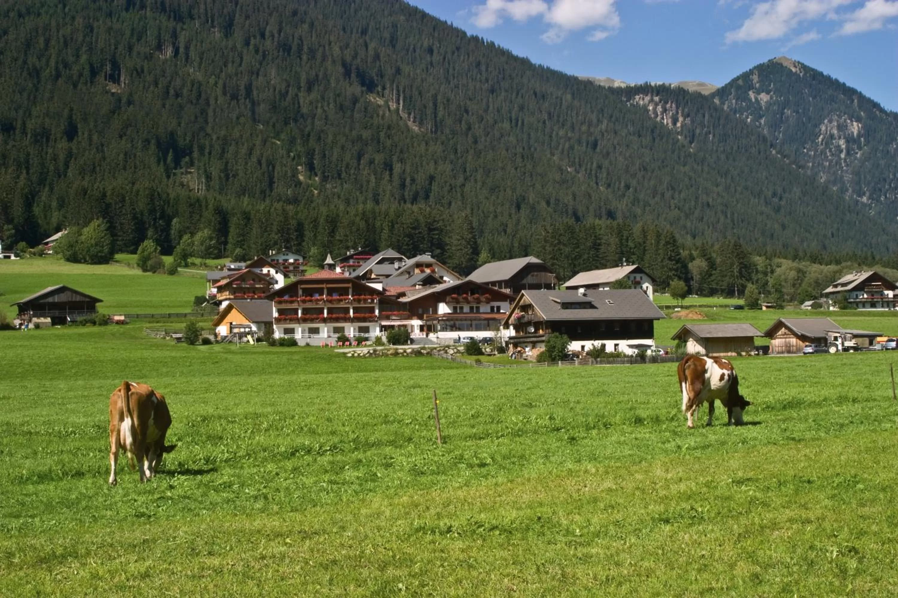 Natural landscape in Hotel Tyrol