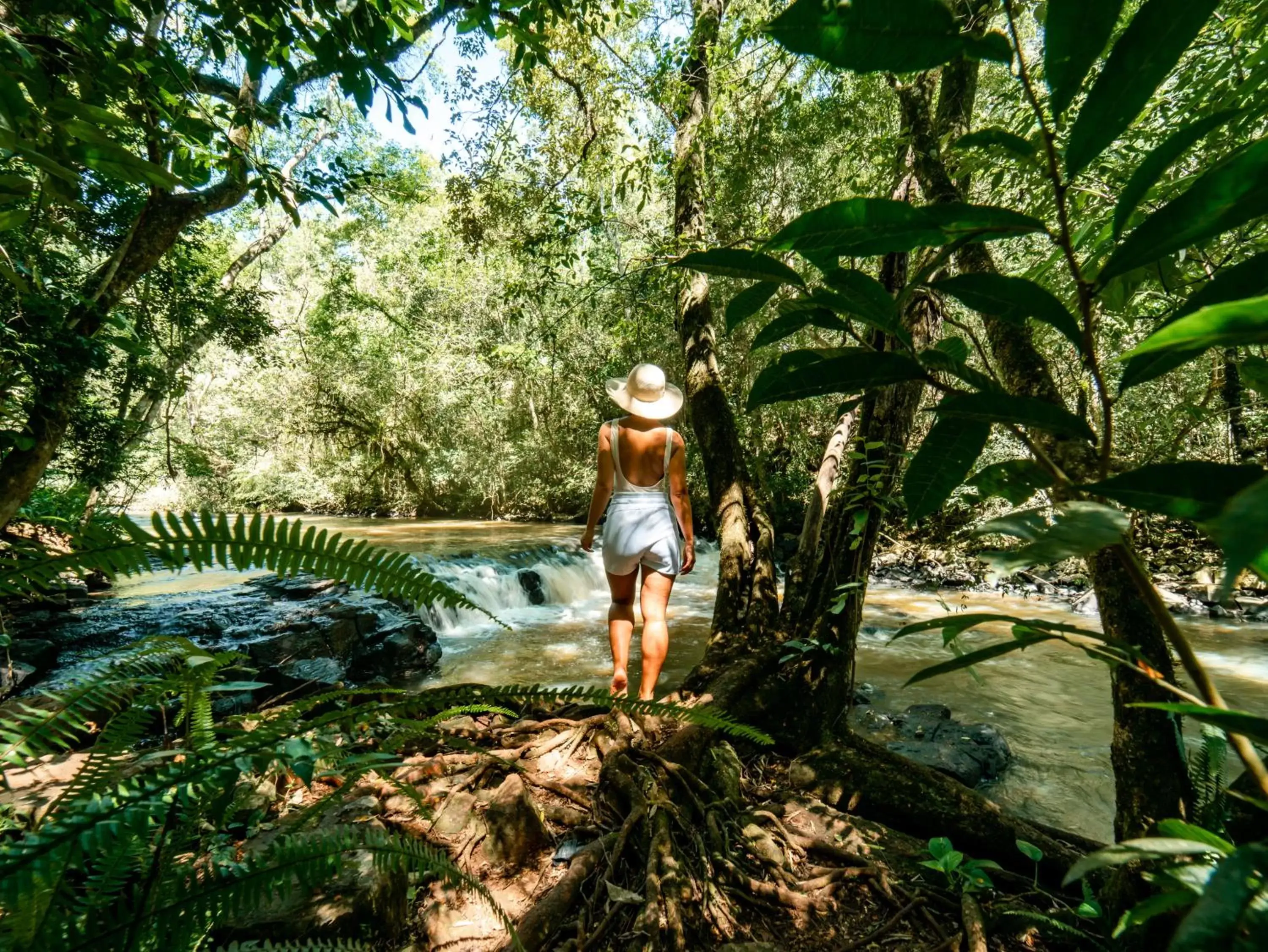 Hiking in Vivaz Cataratas Hotel Resort