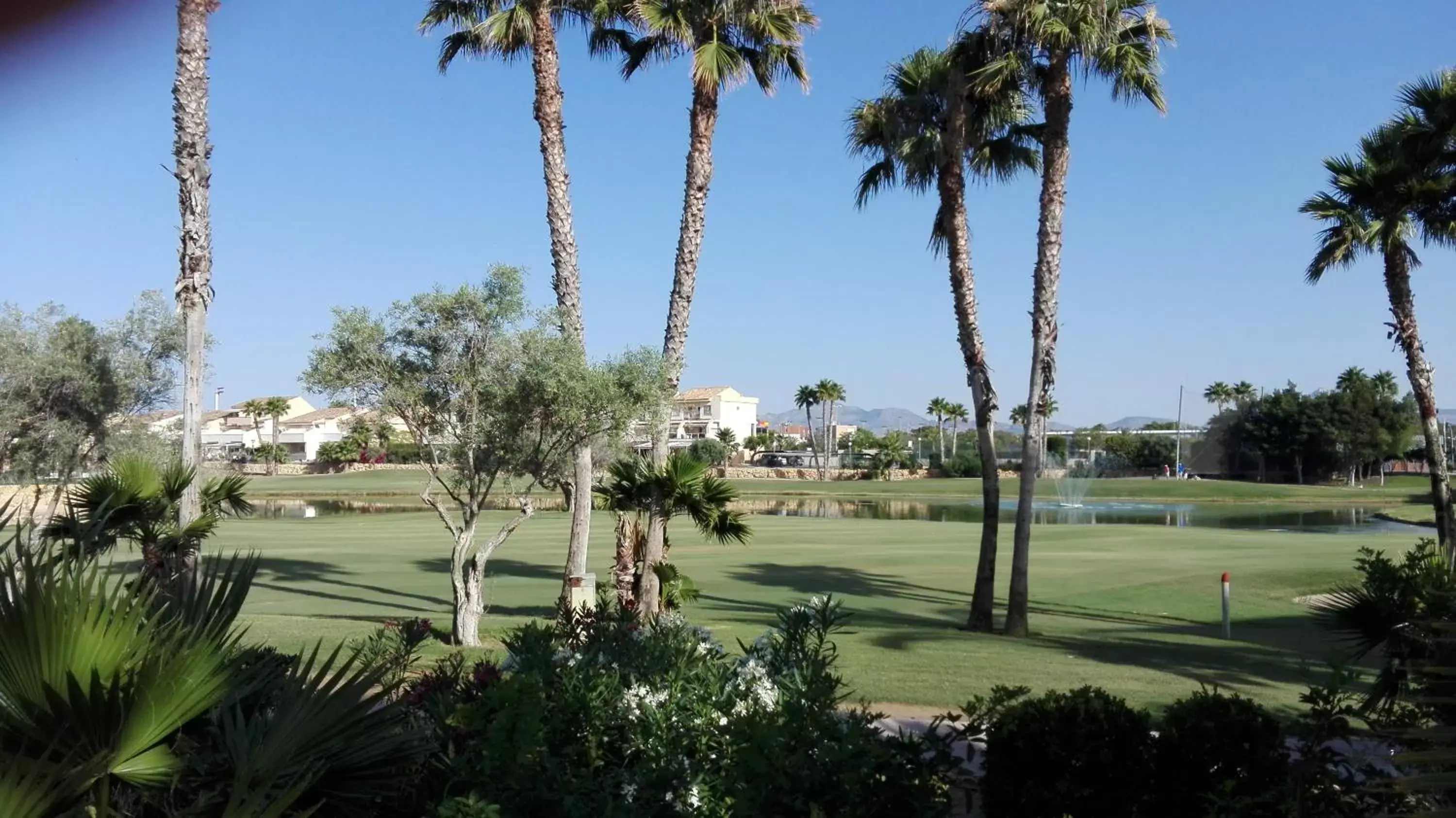 Golfcourse in Hotel Alicante Golf