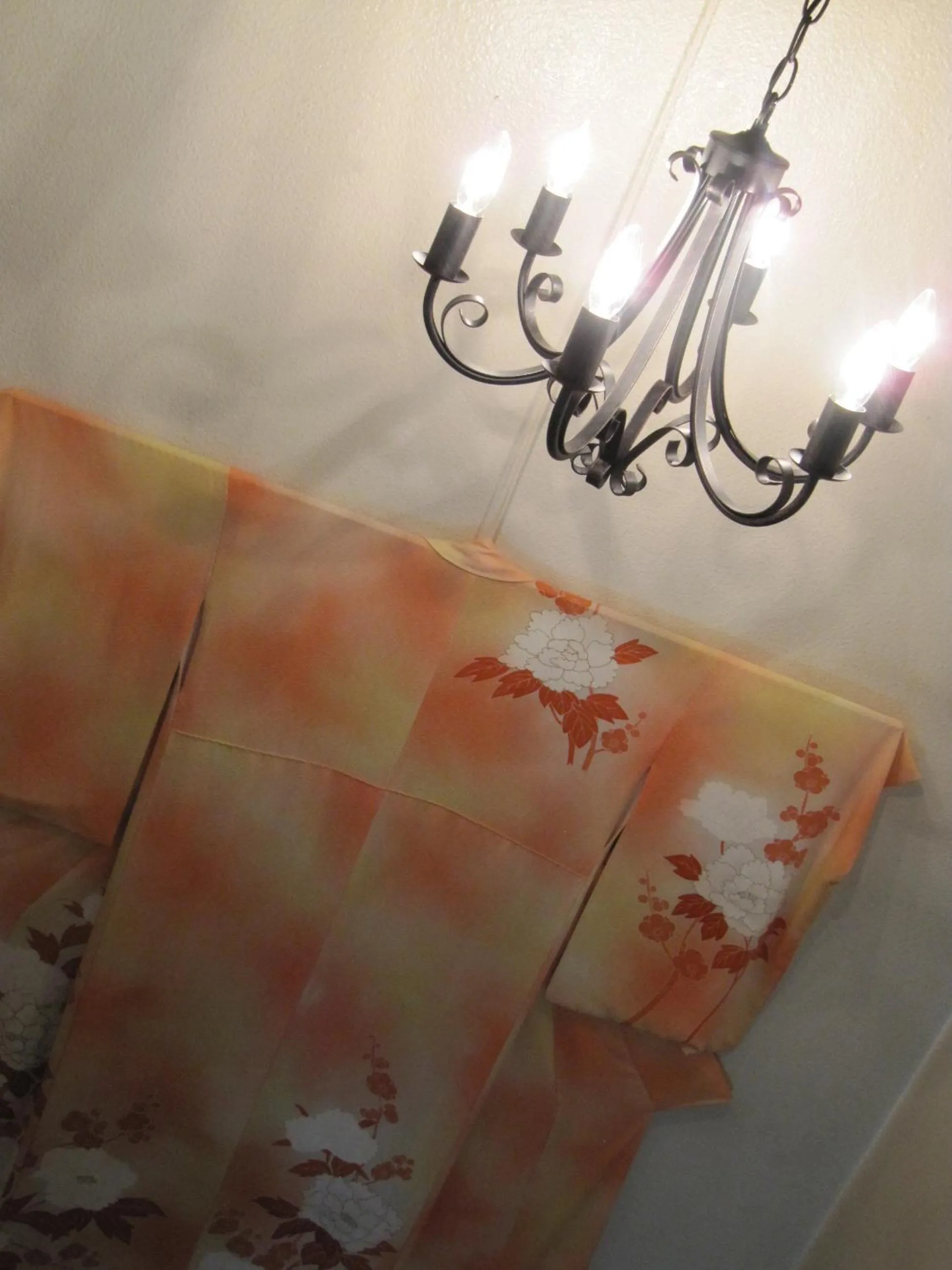 Other in Dyeing and Hostel Nakashimaya - Female Only