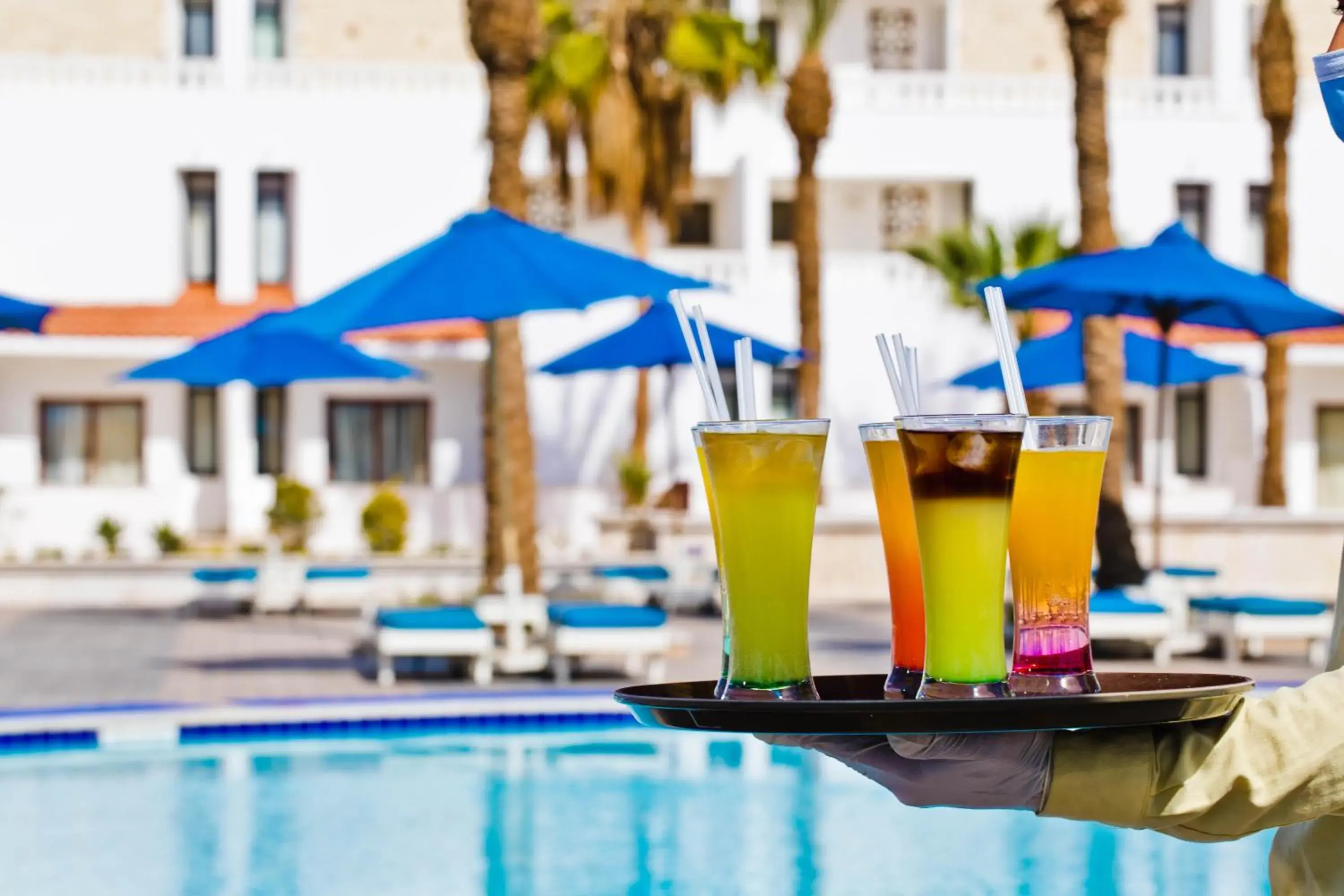 Drinks, Swimming Pool in Albatros Sharm Resort - By Pickalbatros