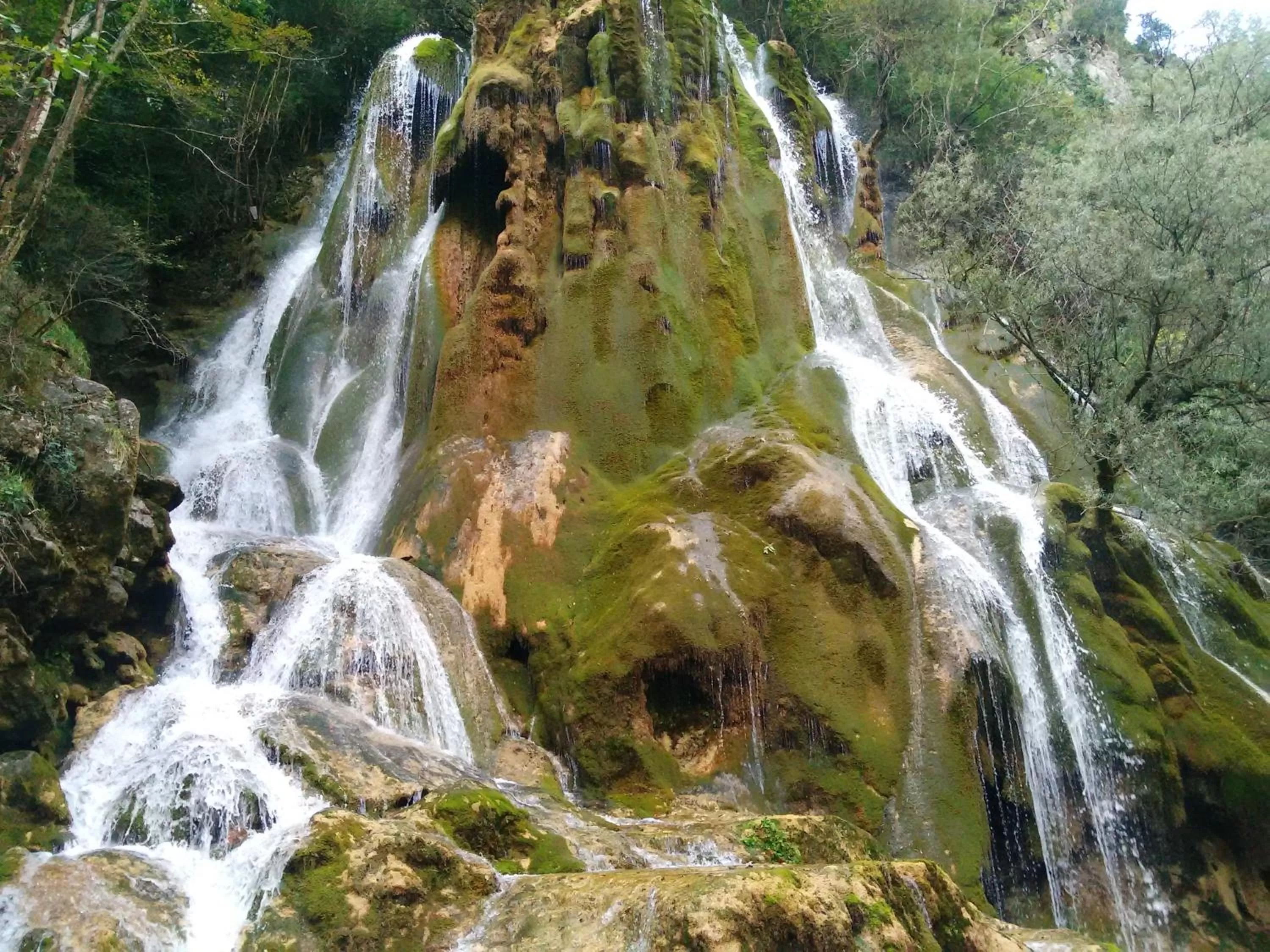 Activities, Natural Landscape in L'Estapade des Tourelons