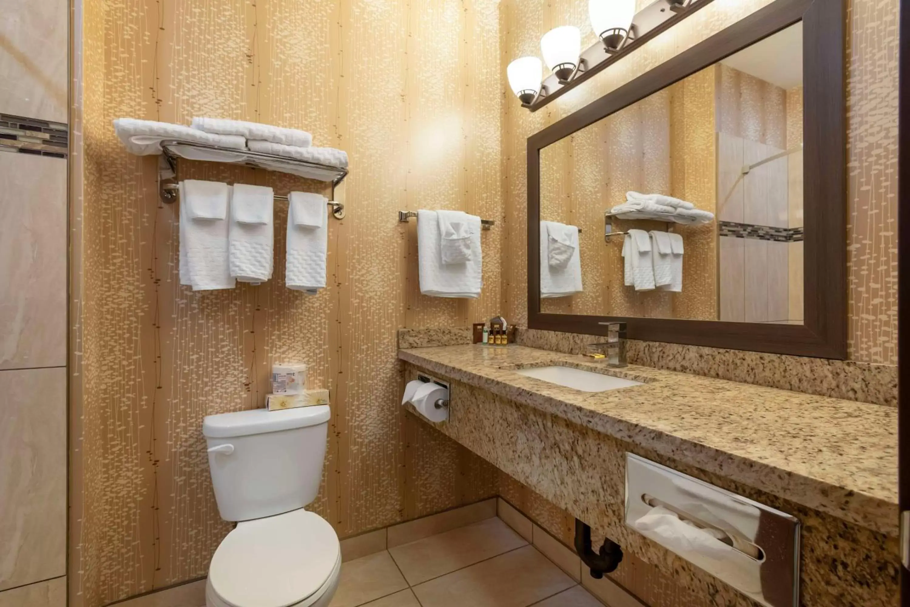 Bathroom in Best Western Plus Moosomin Hotel