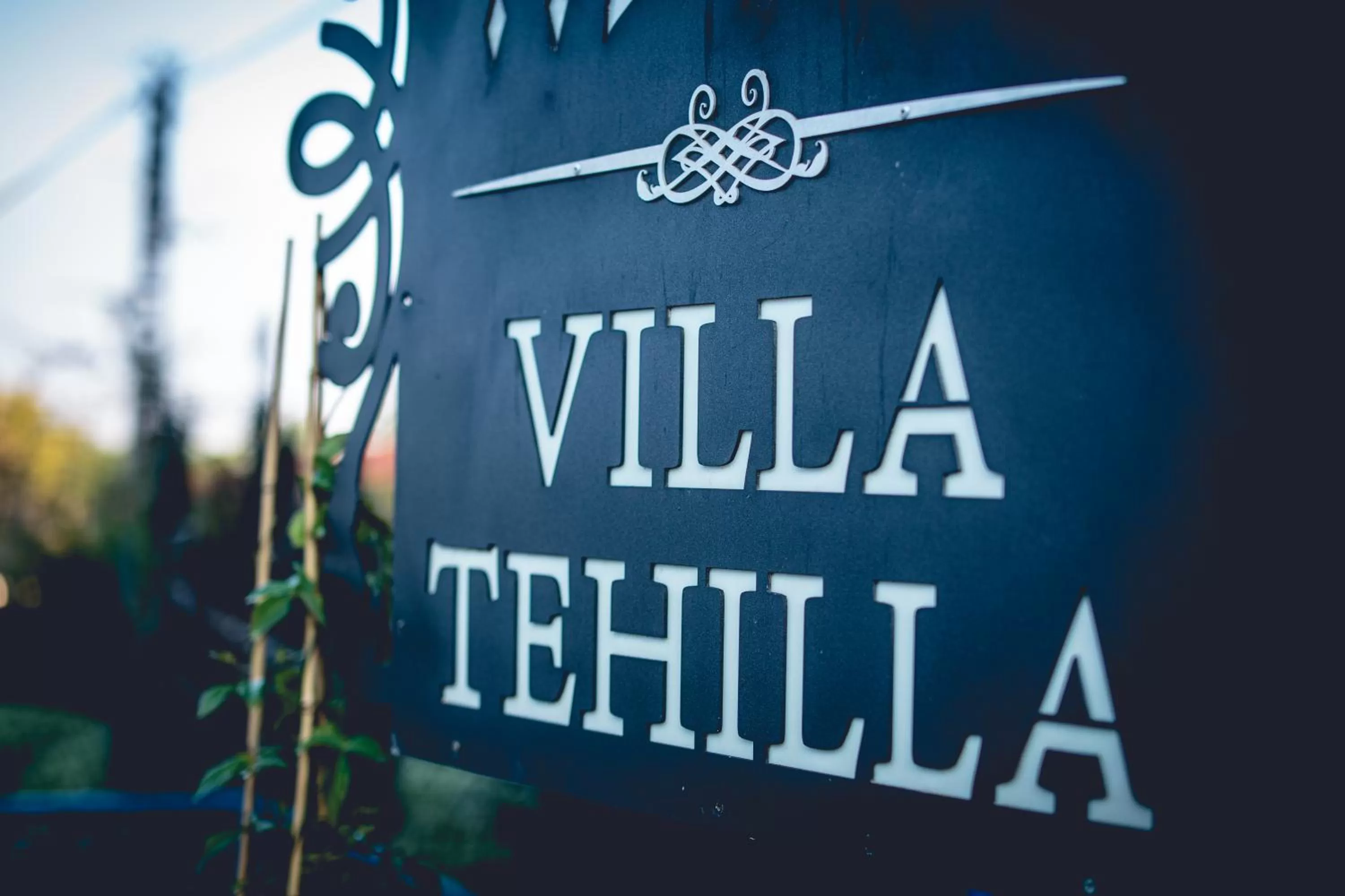 Day in וילה תהילה המחודש - The new Villa Tehila