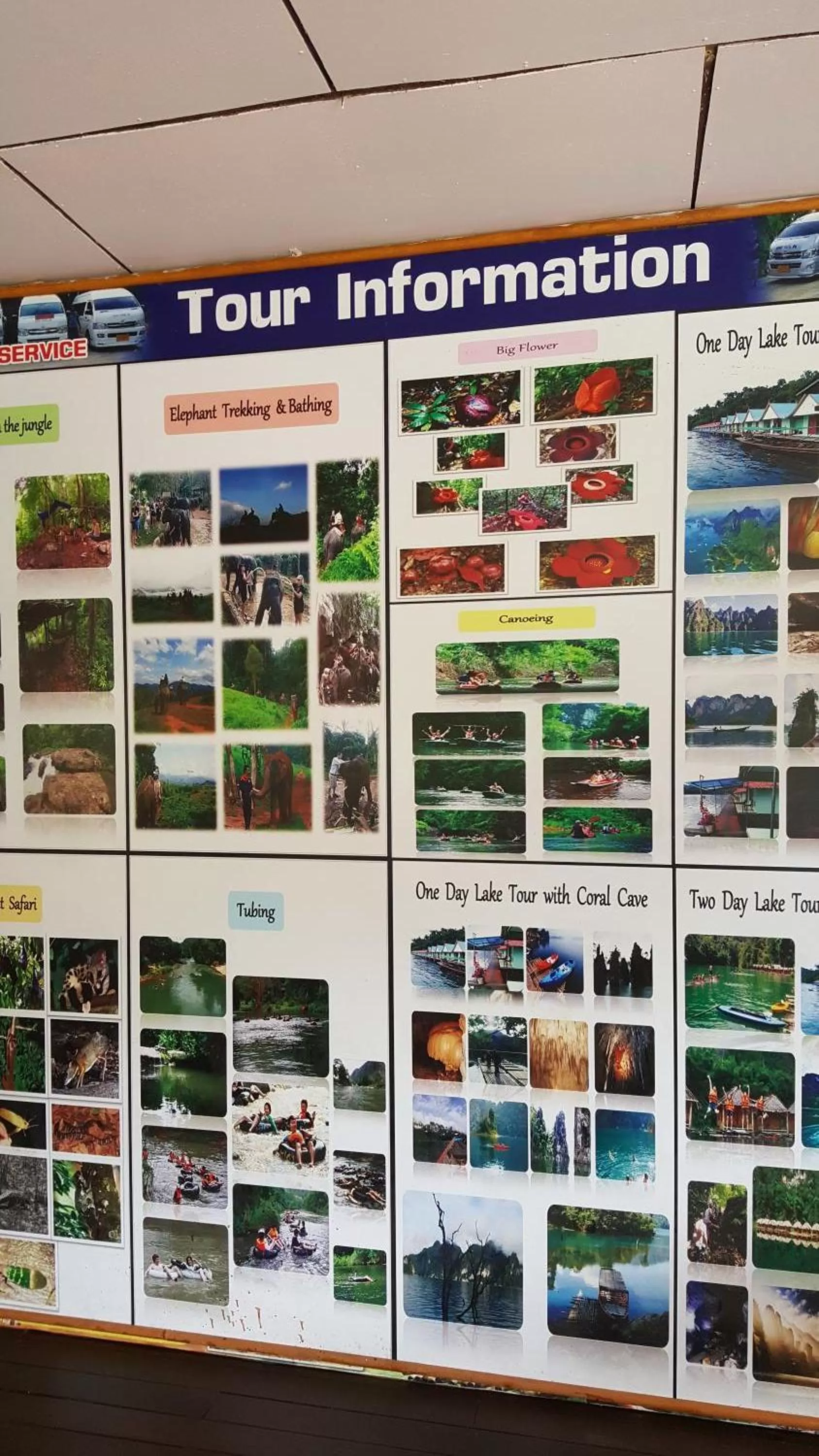 Activities in Khao Sok Jungle Huts Resort