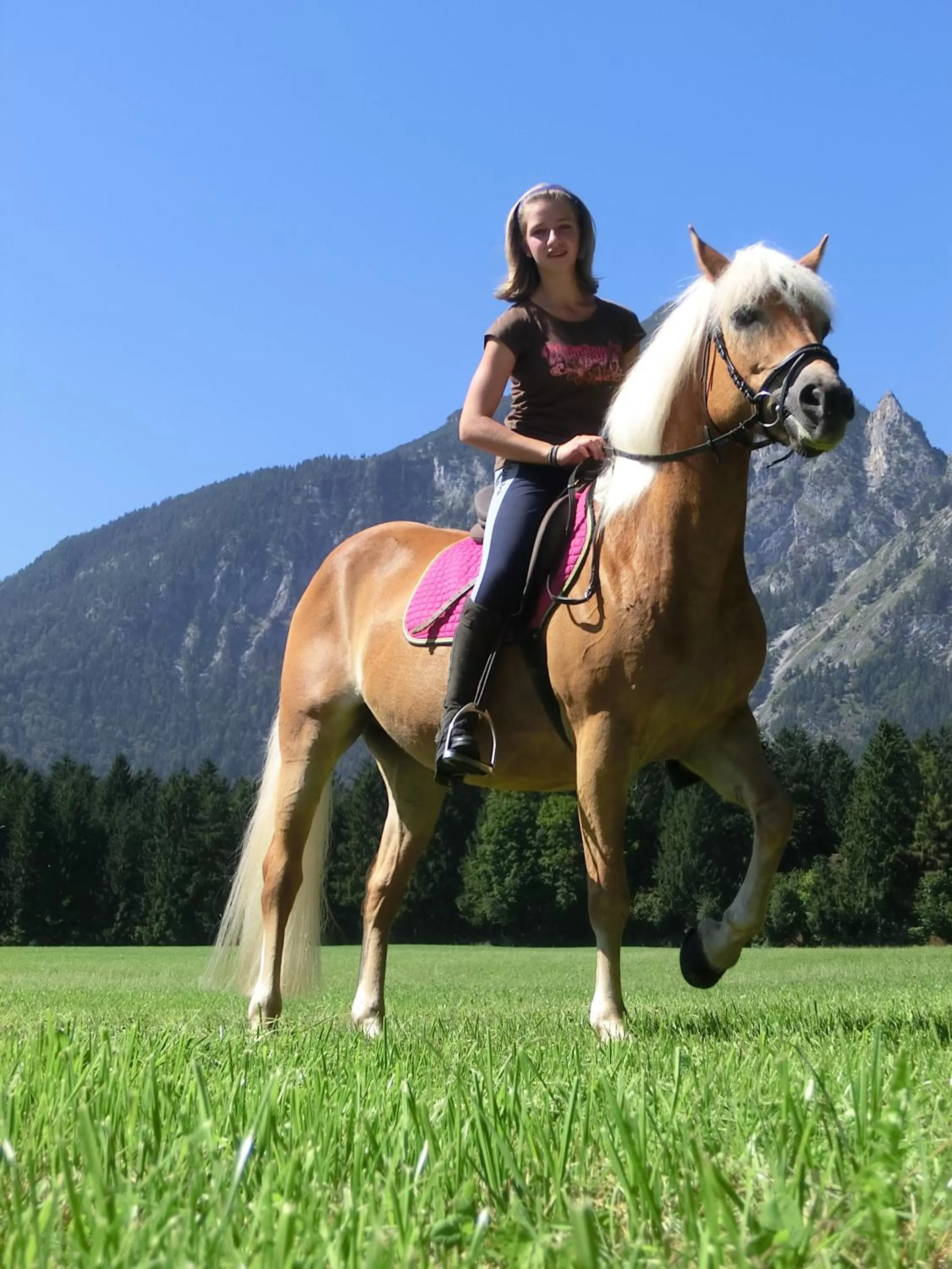 Horse-riding in Hotel Hauserwirt