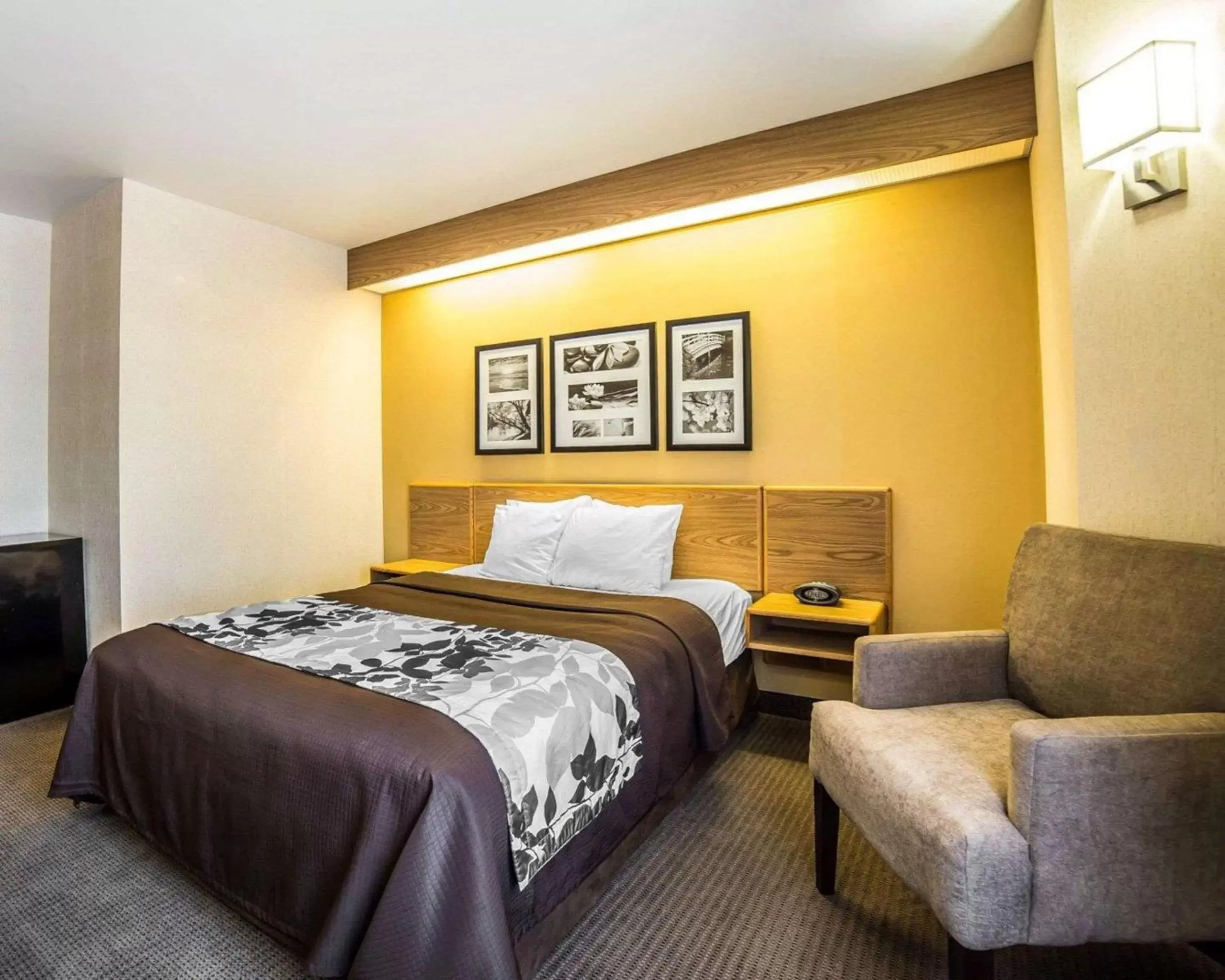 Photo of the whole room, Bed in Quality Inn Moab Slickrock Area Photo of the whole room, Bed in Quality Inn Moab Slickrock Area