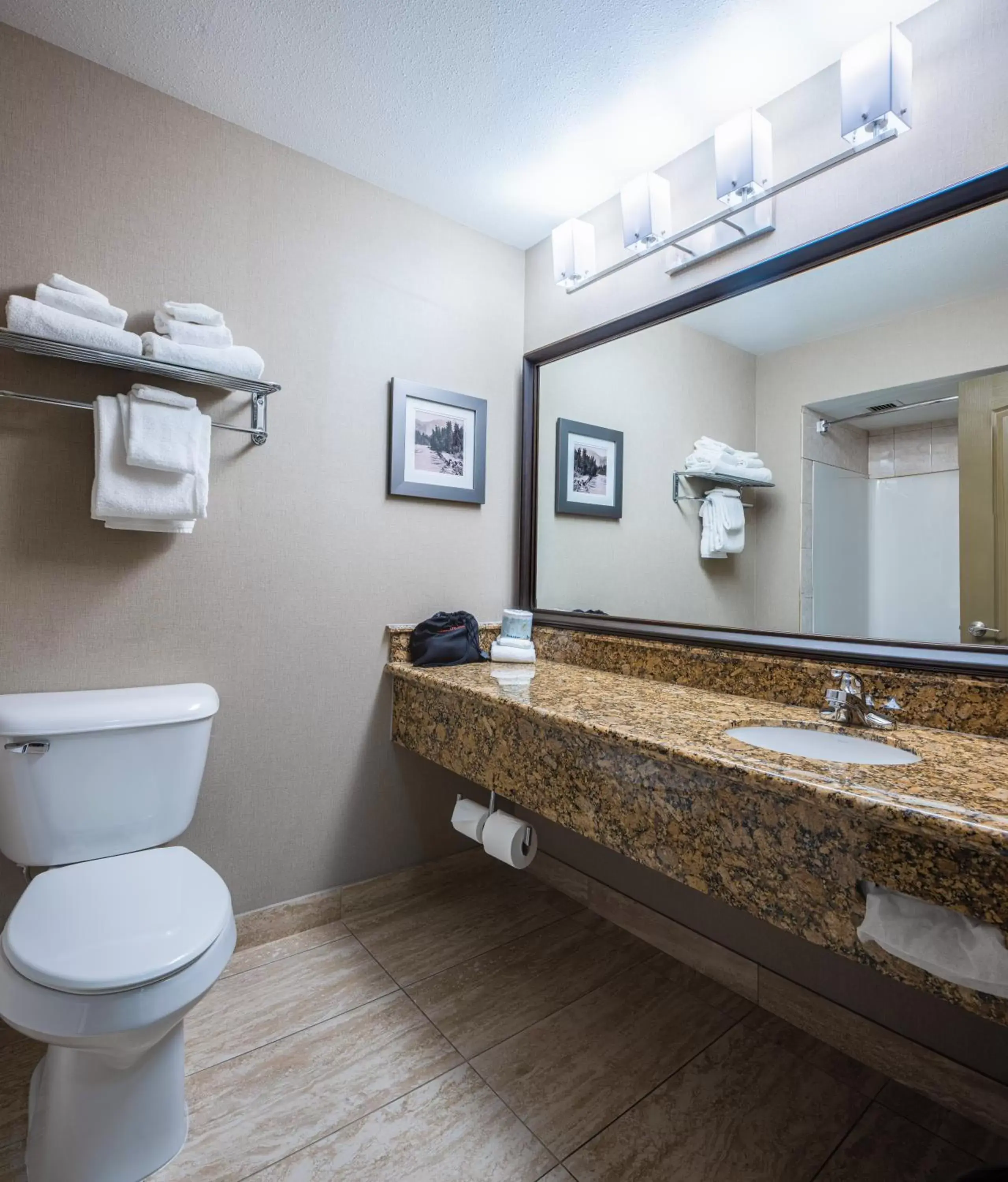 Bathroom in Best Western Plus Fernie Mountain Lodge