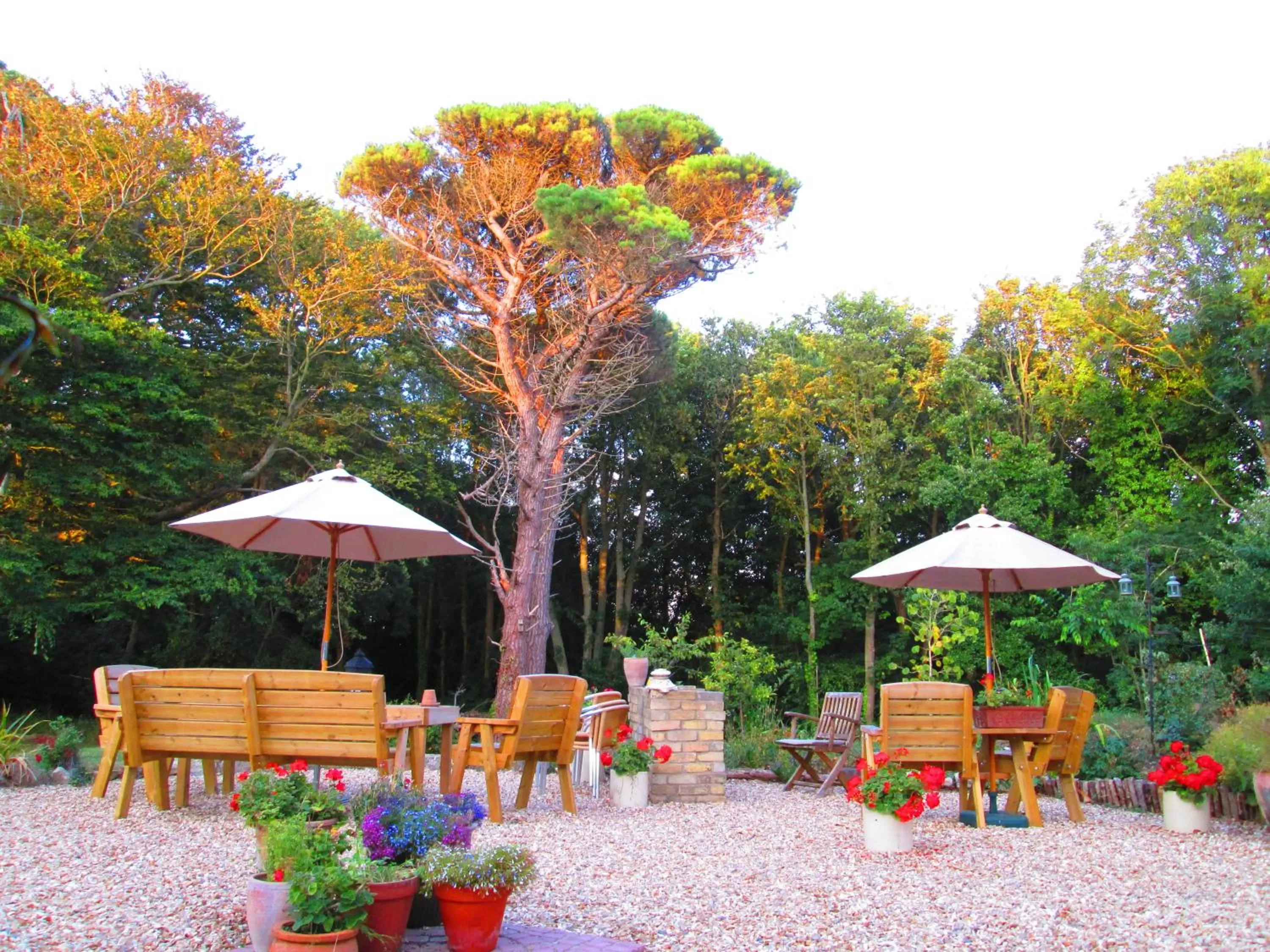 BBQ facilities in Weston Manor