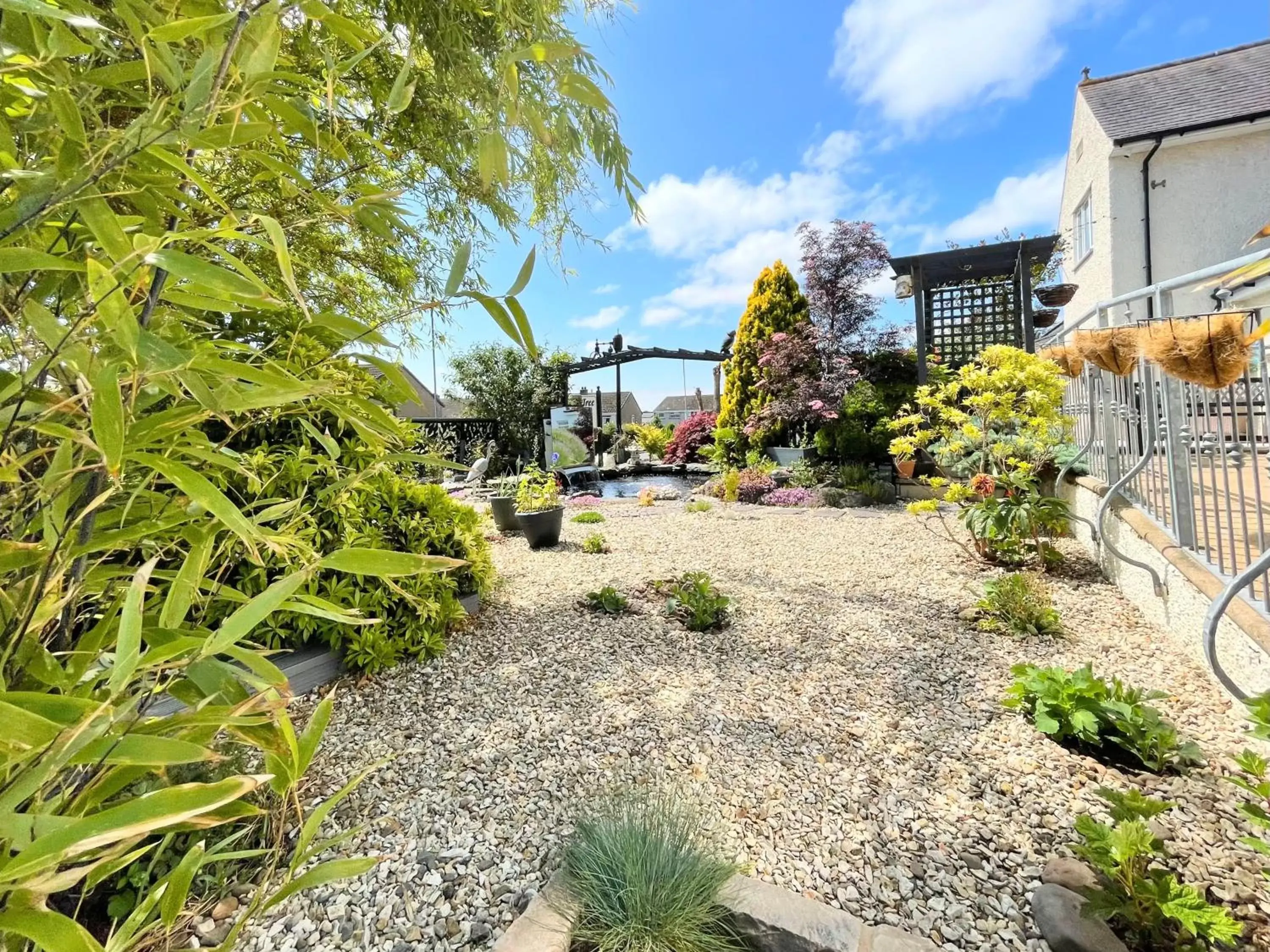 Garden in Bojangles Guest House