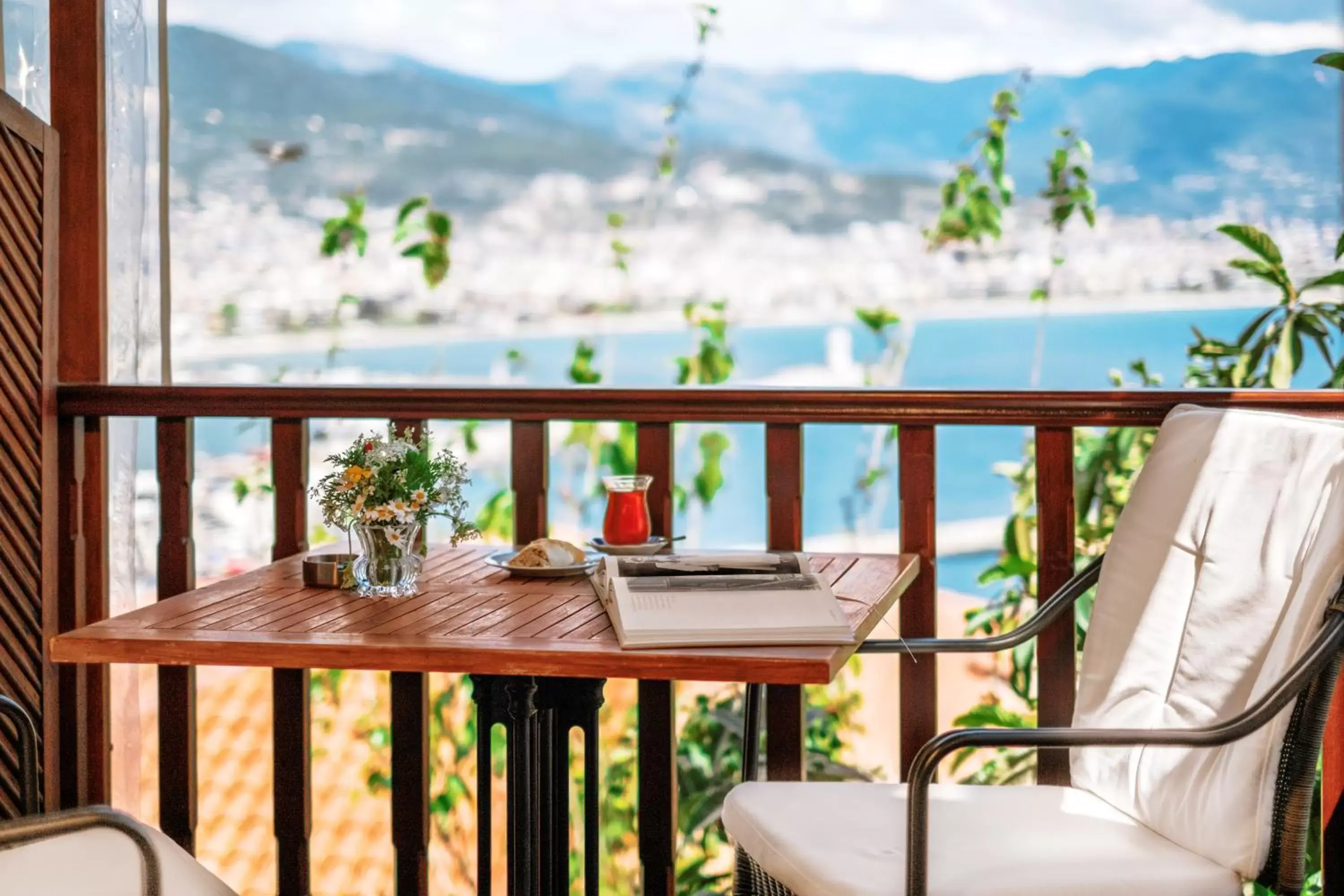 Balcony/Terrace in Hotel Villa Turka