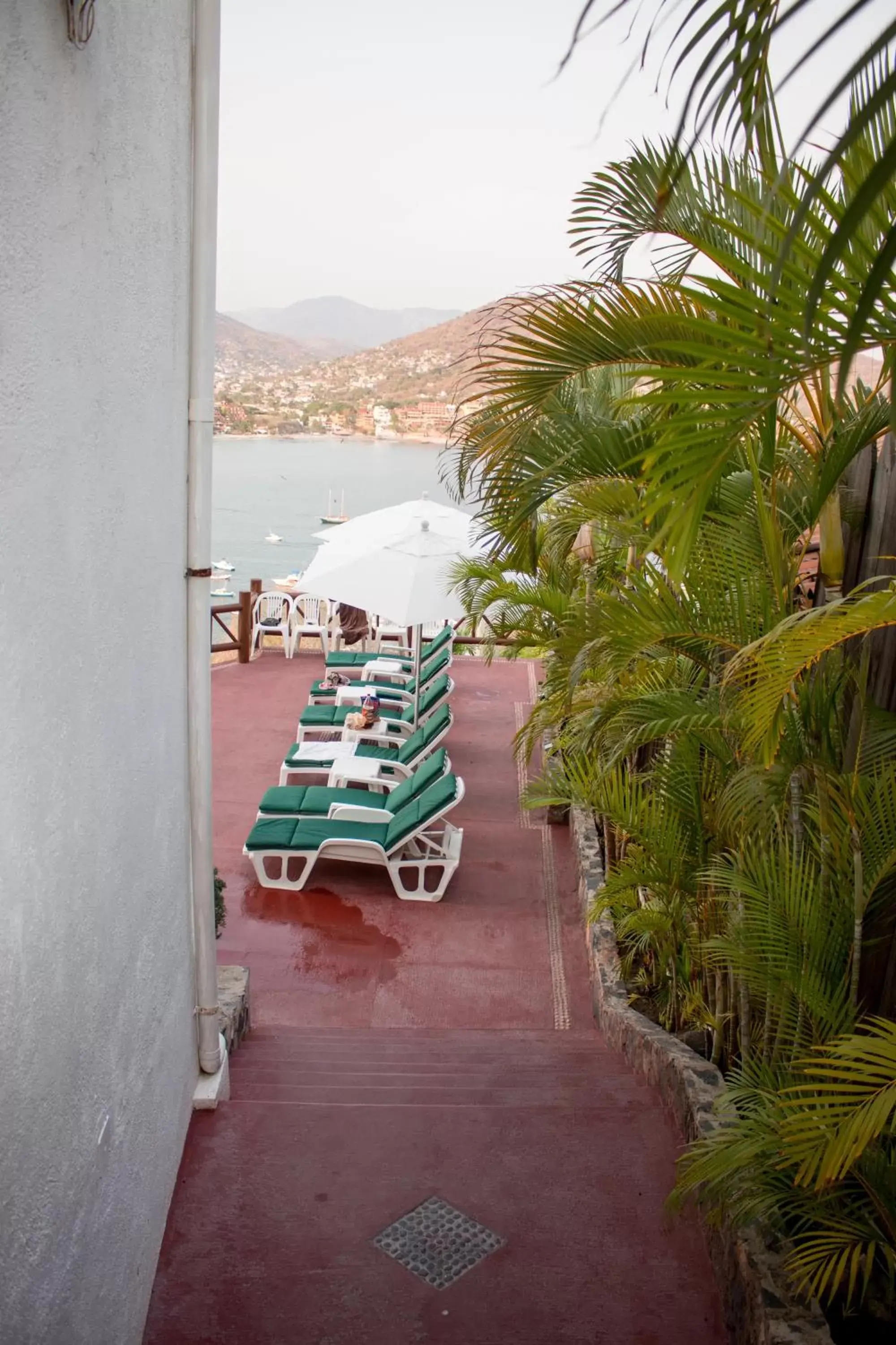 Garden view in Villas El Morro