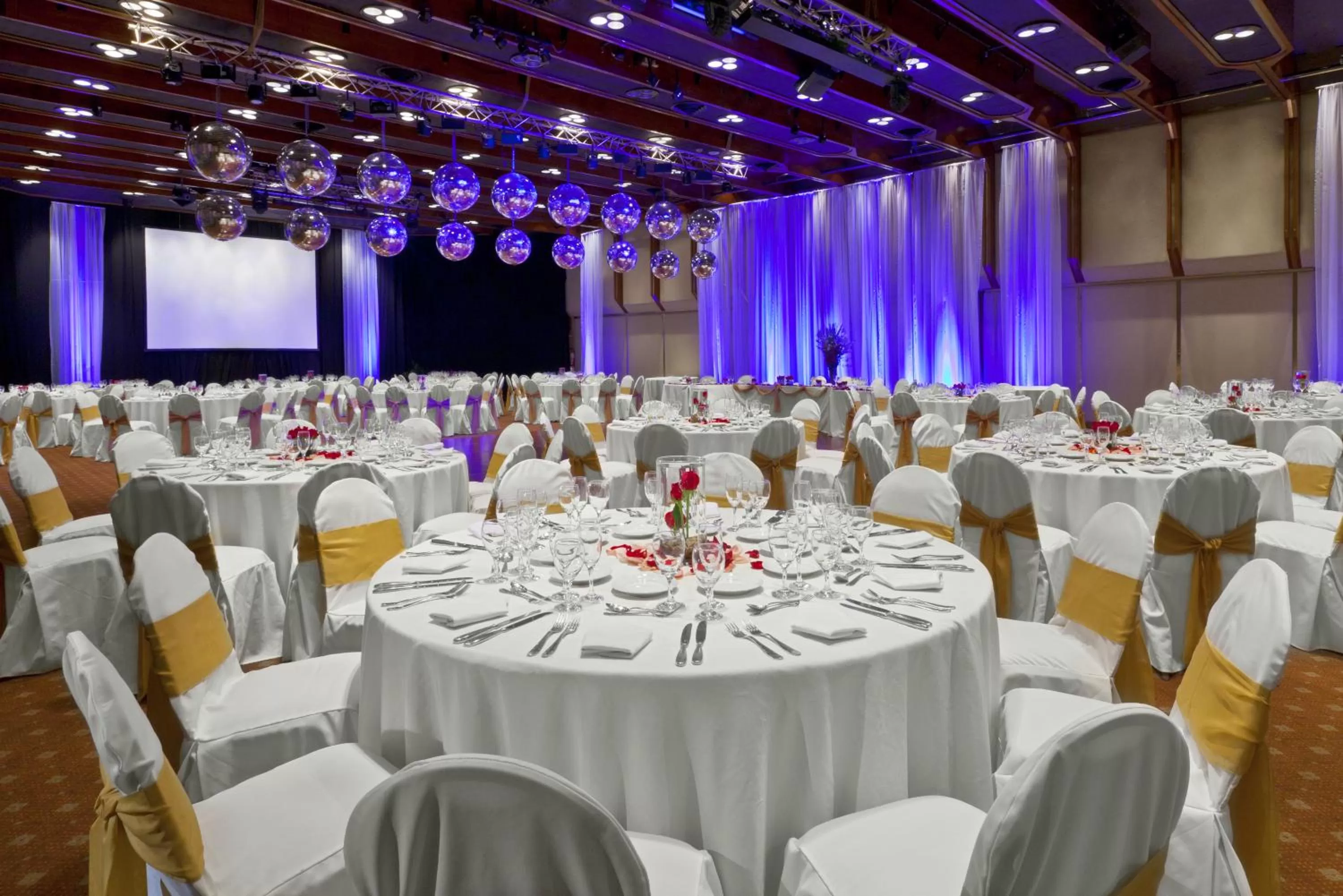 Banquet/Function facilities in Libertador Hotel