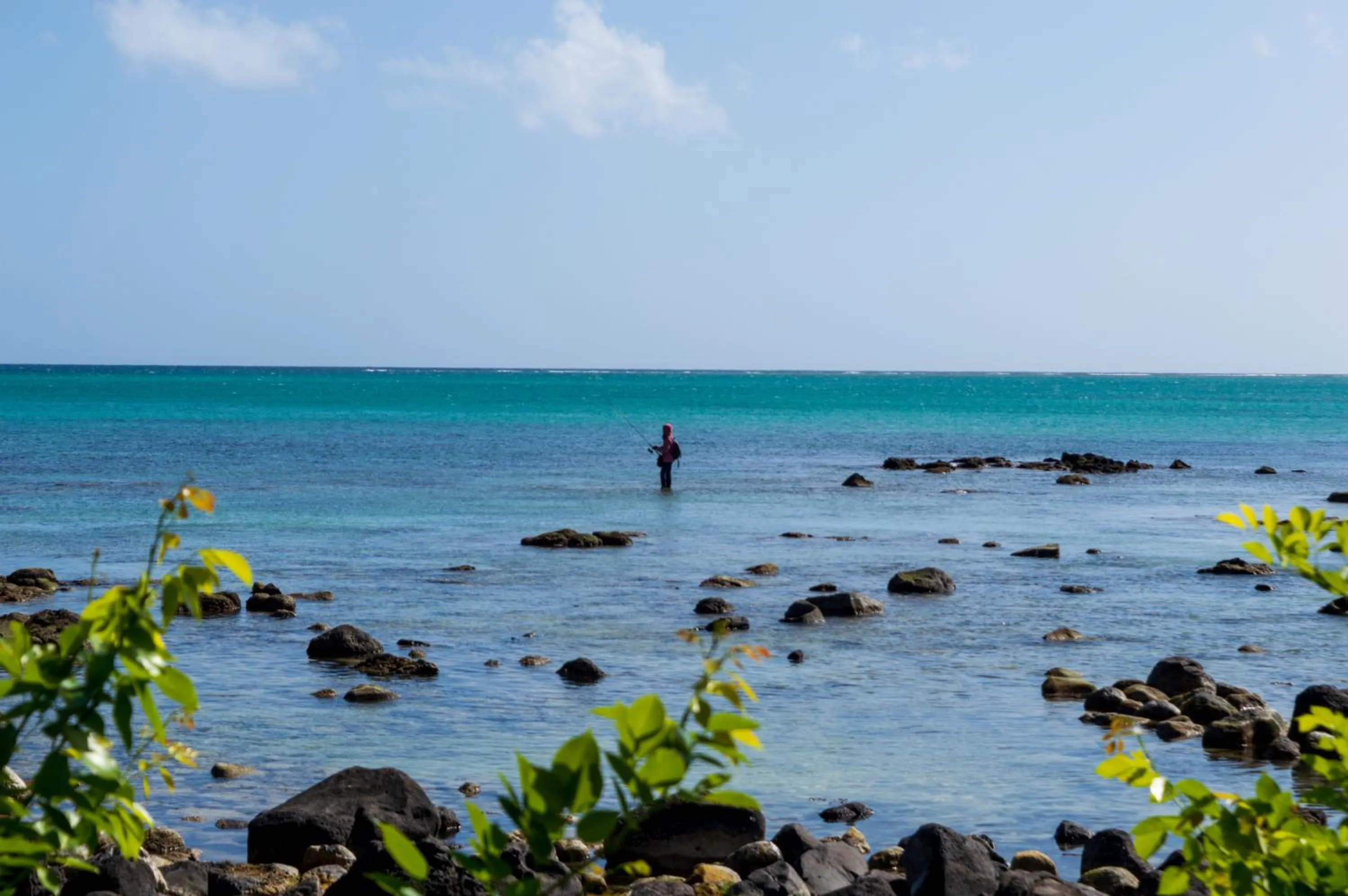 Beach in Flowers of Paradise