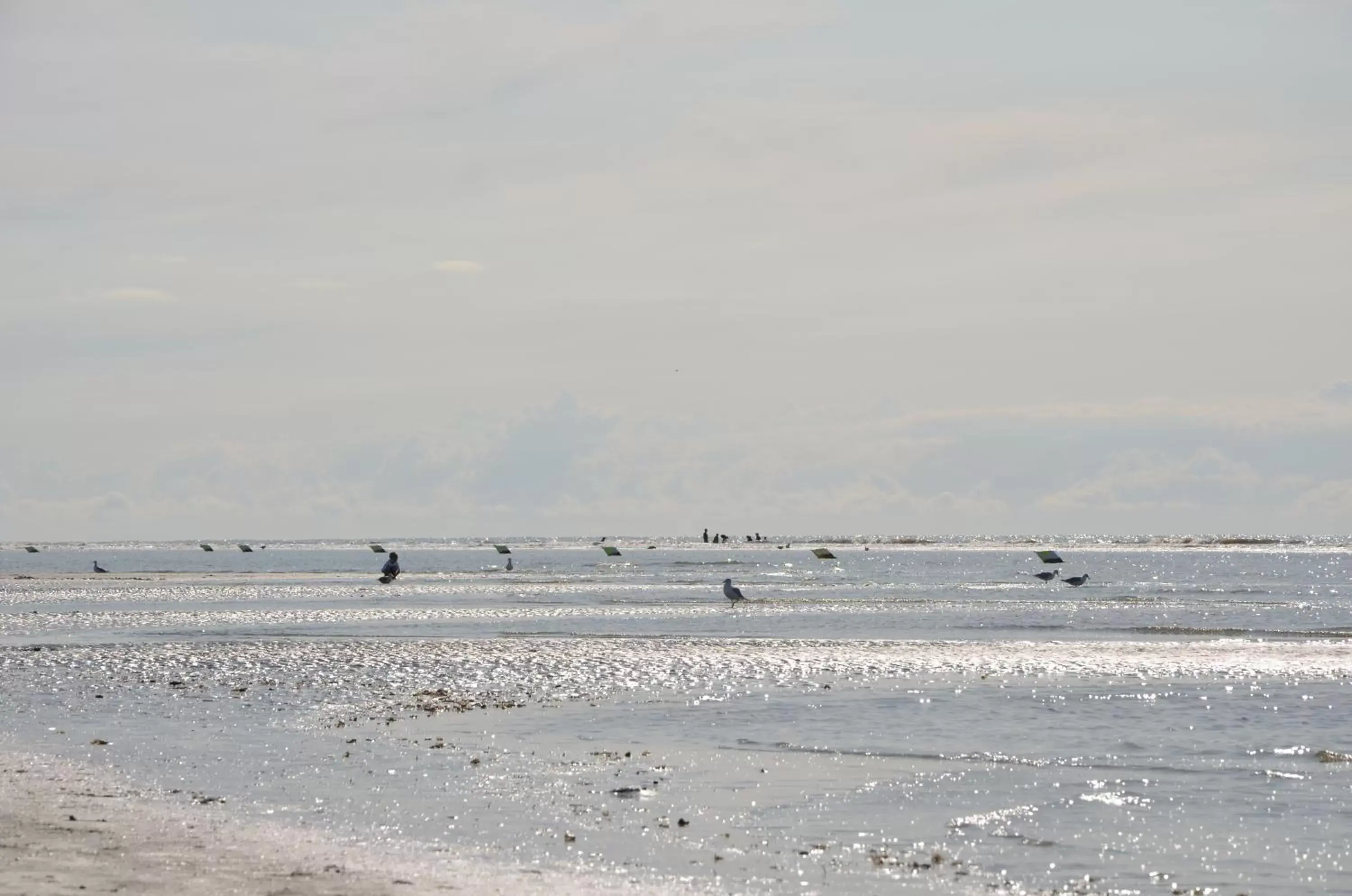 Activities, Beach in Landhotel Rehedyk