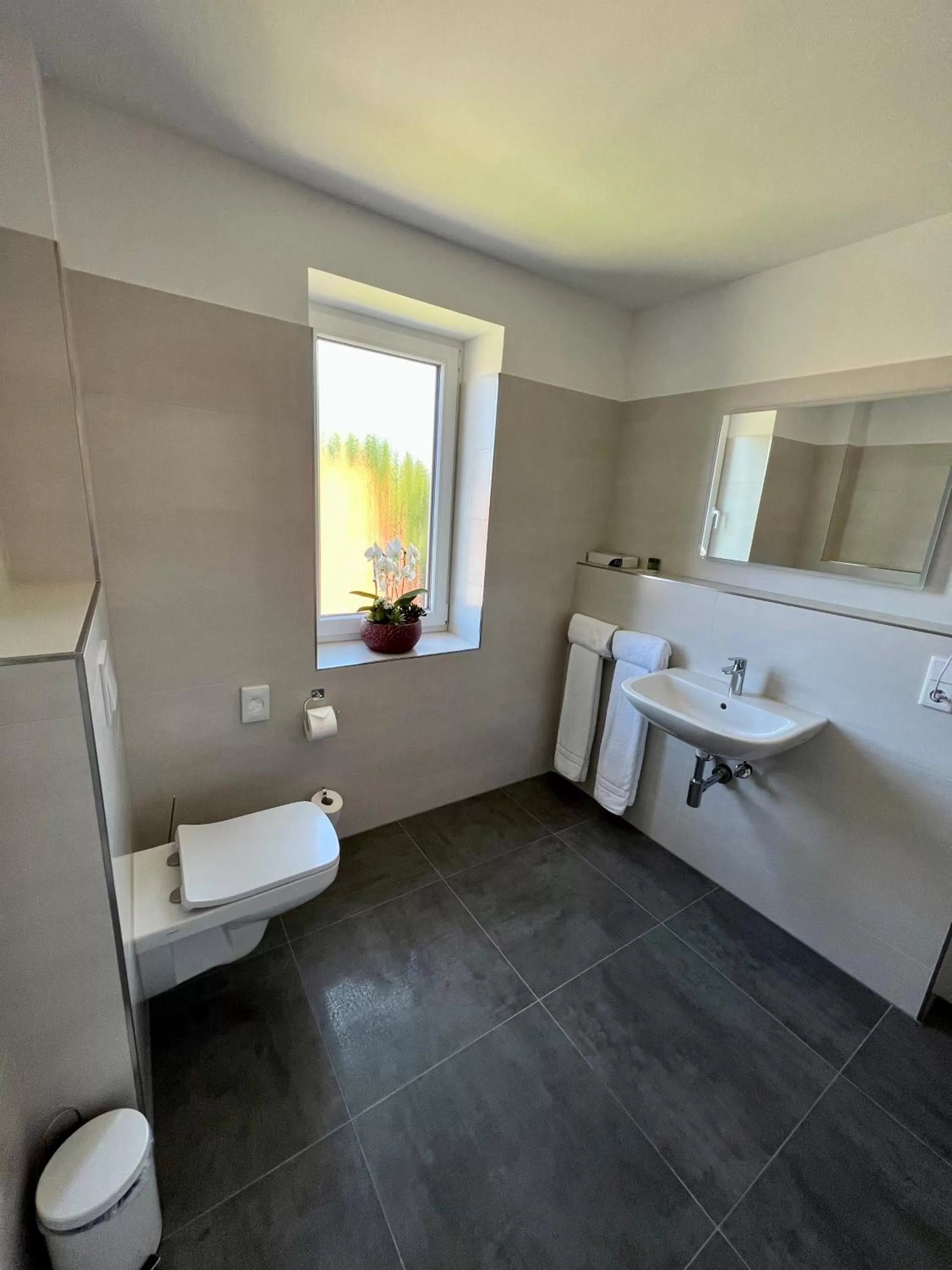 Bathroom in Hotel Ocean