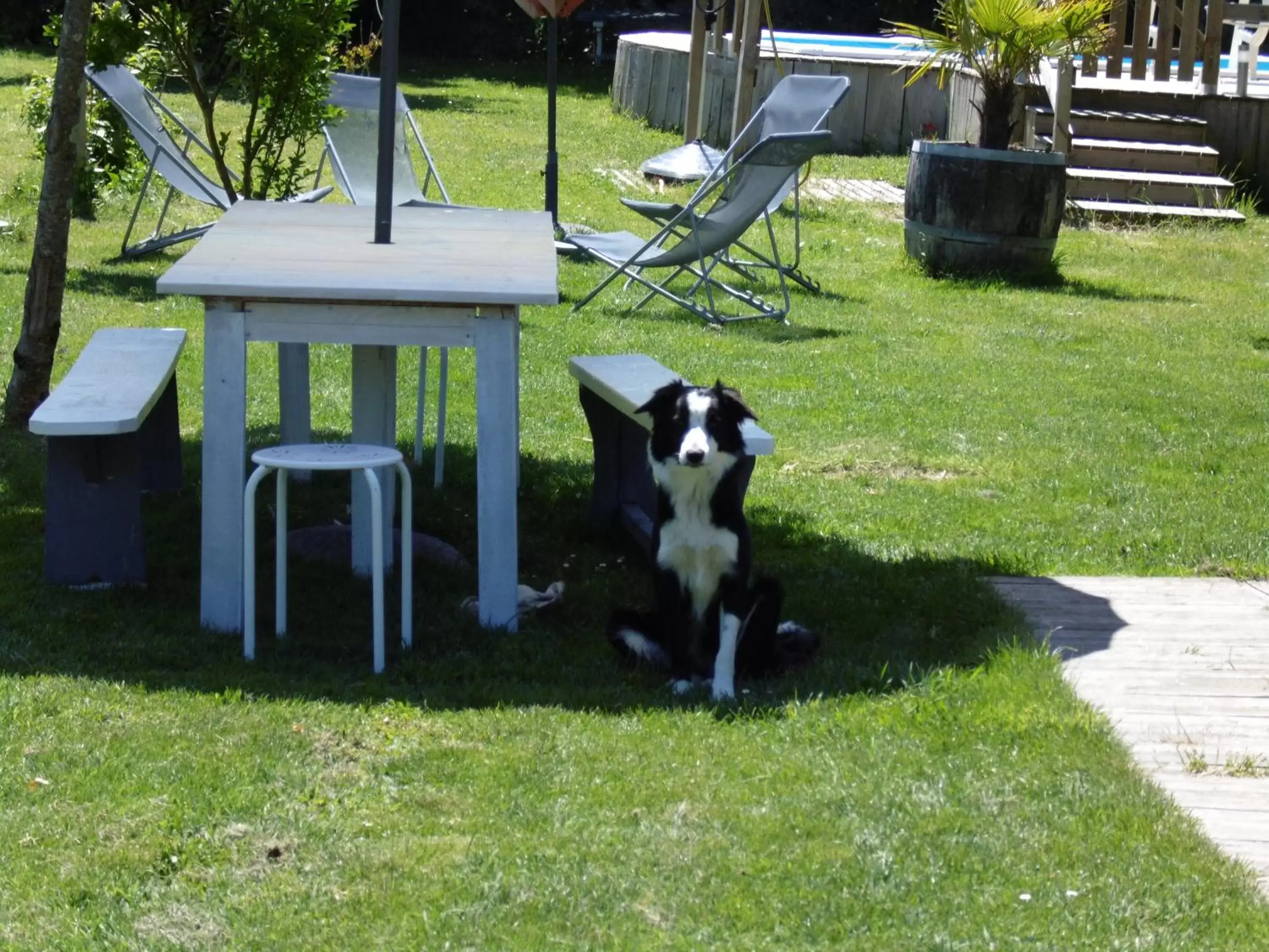 Pets, Garden in La Cadournaise