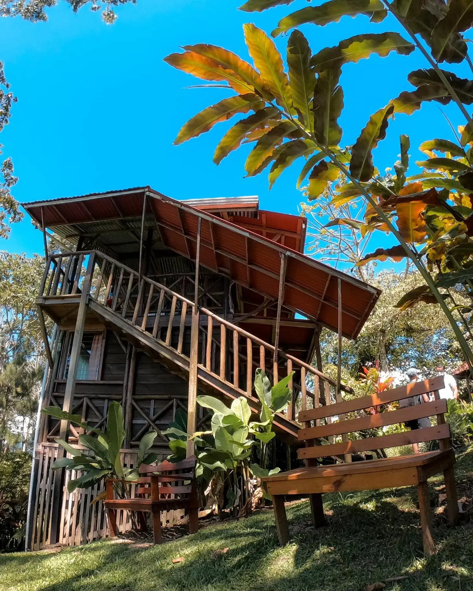 Garden, Property Building in Vista Turrialba Lodge