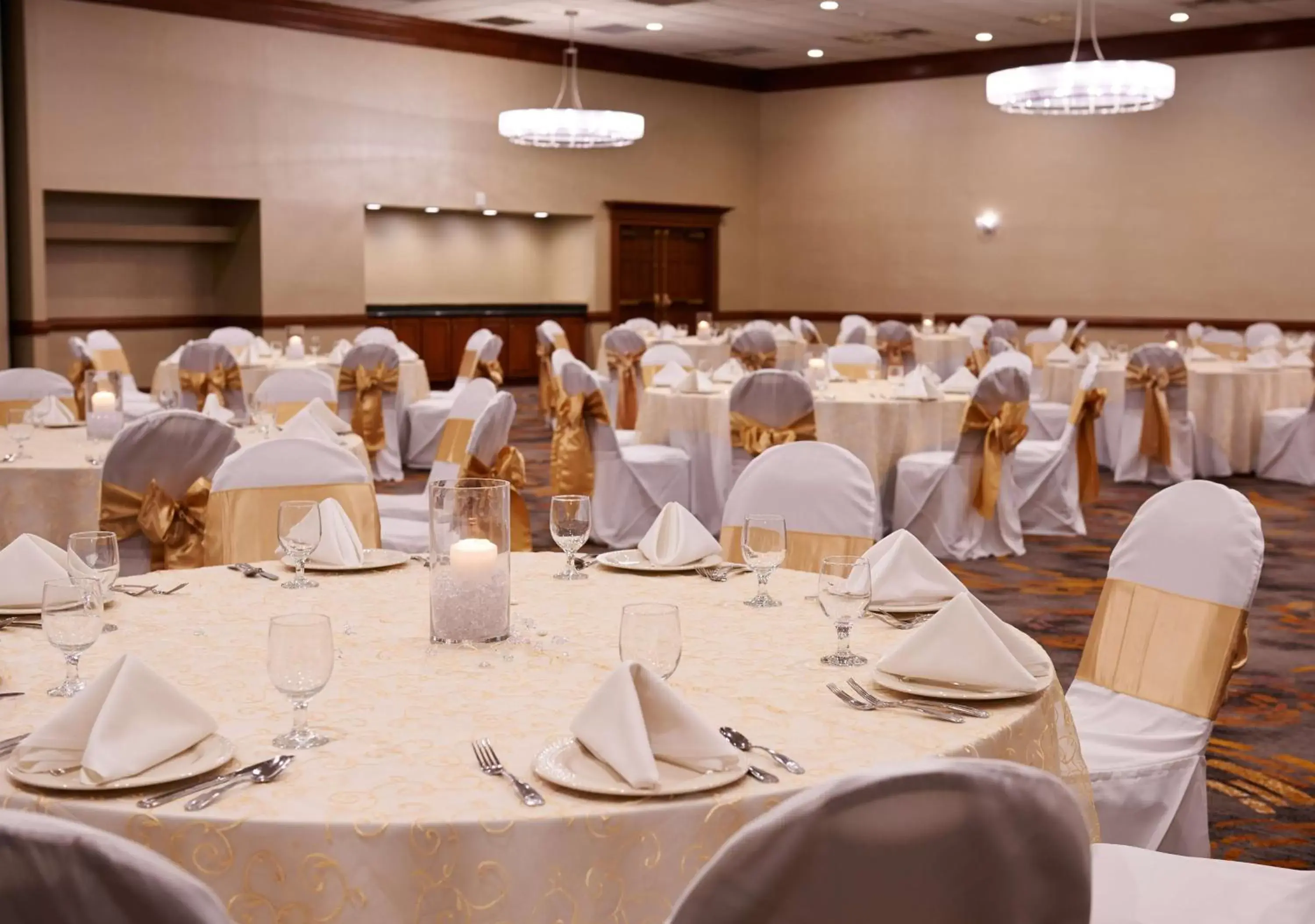 Meeting/conference room, Restaurant/Places to Eat in DoubleTree by Hilton Dearborn