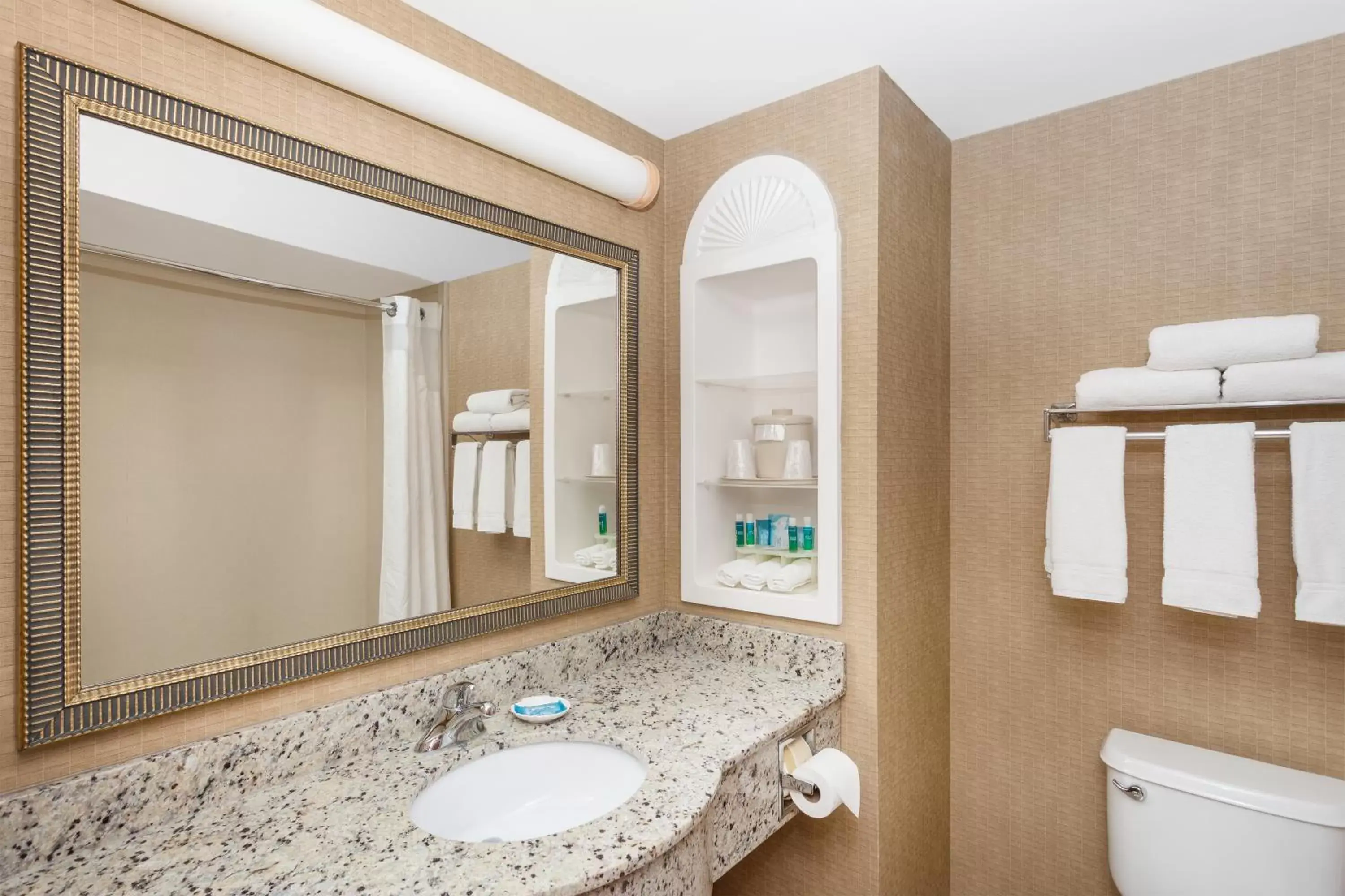 Bathroom in Holiday Inn Express Hotel & Suites Hampton South-Seabrook, an IHG Hotel