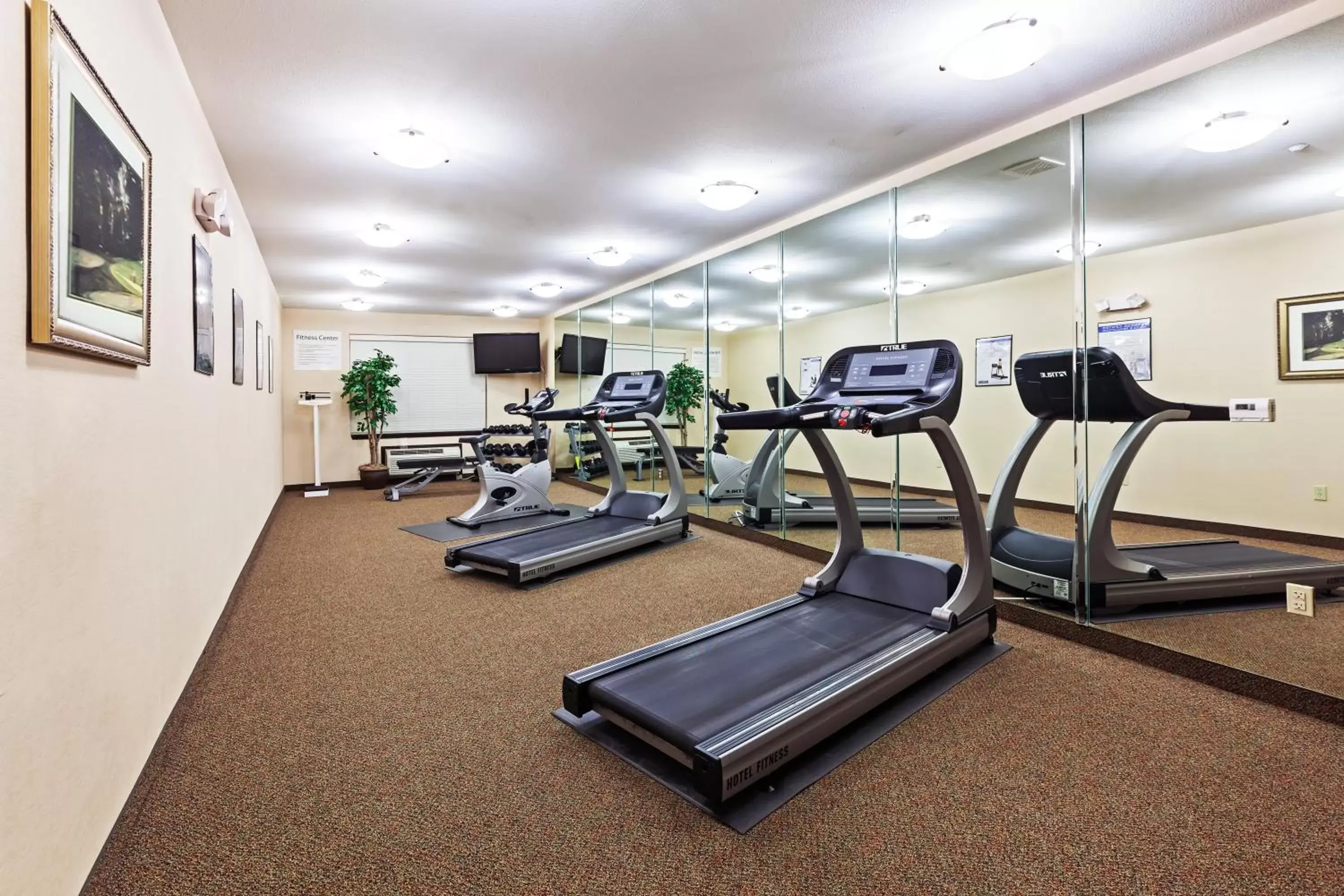 Fitness centre/facilities, Fitness Center/Facilities in Holiday Inn Express Hotel & Suites Henderson - Traffic Star, an IHG Hotel