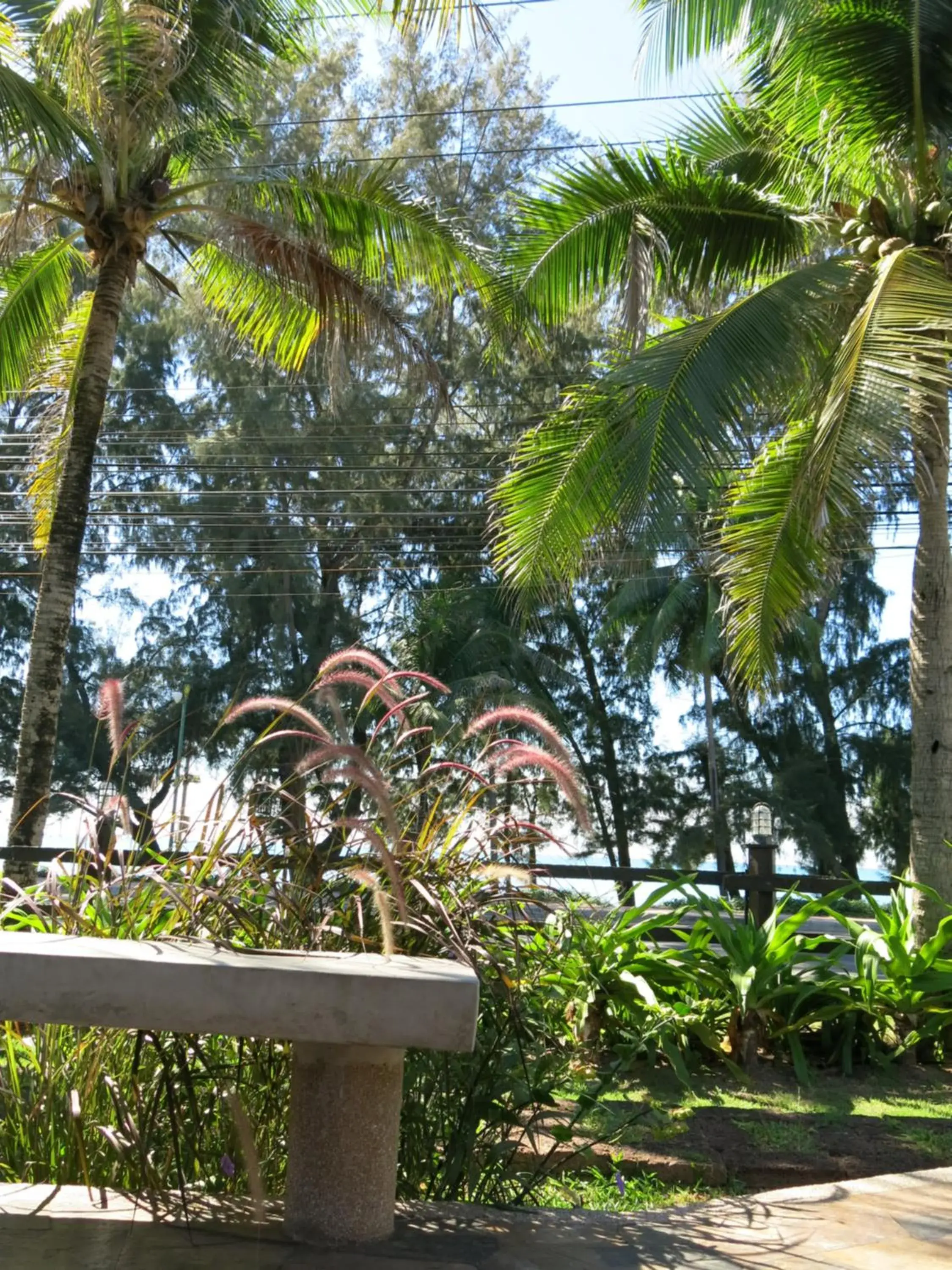 Garden in Bayview Resort