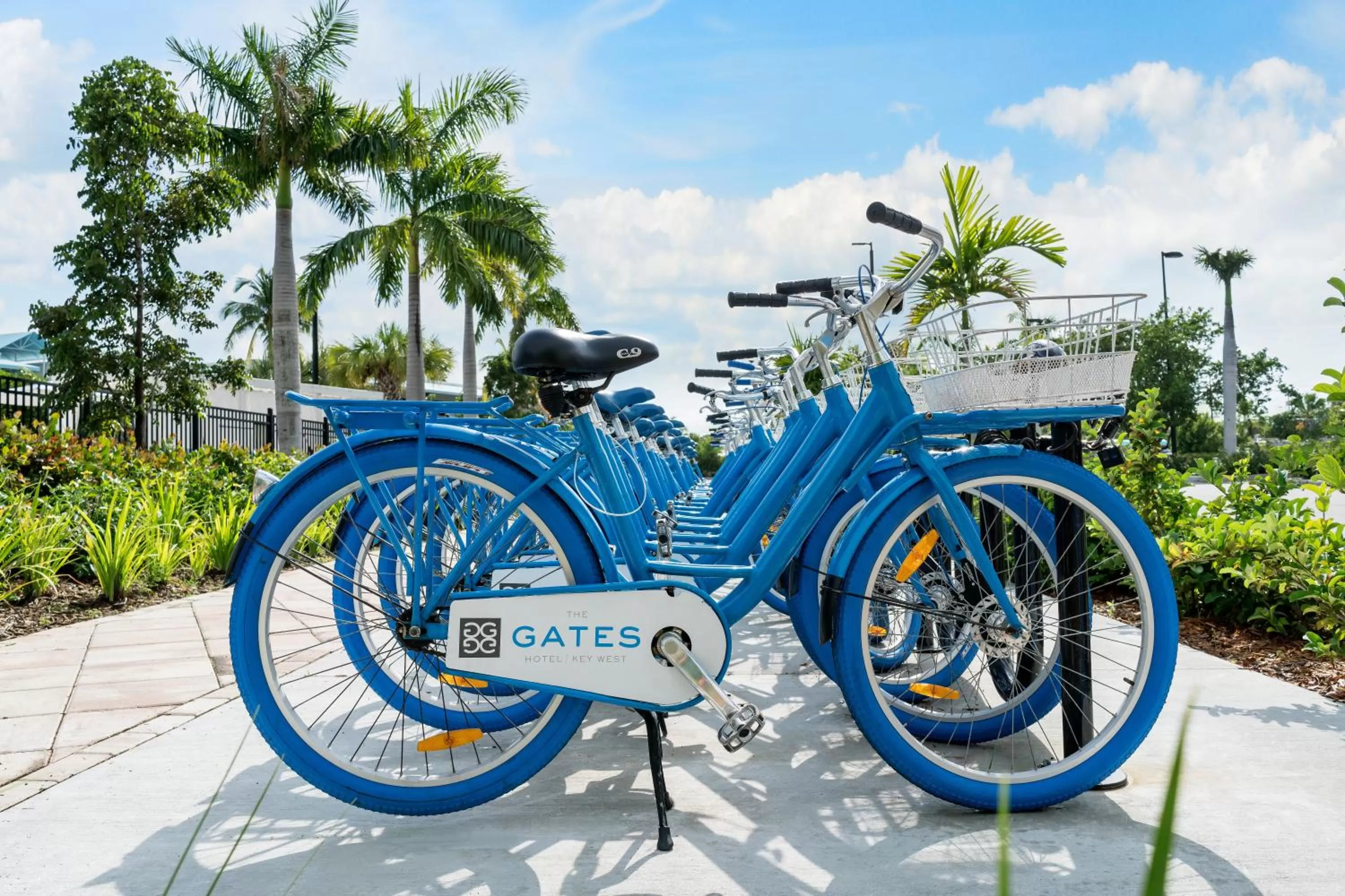 Activities in The Gates Hotel Key West