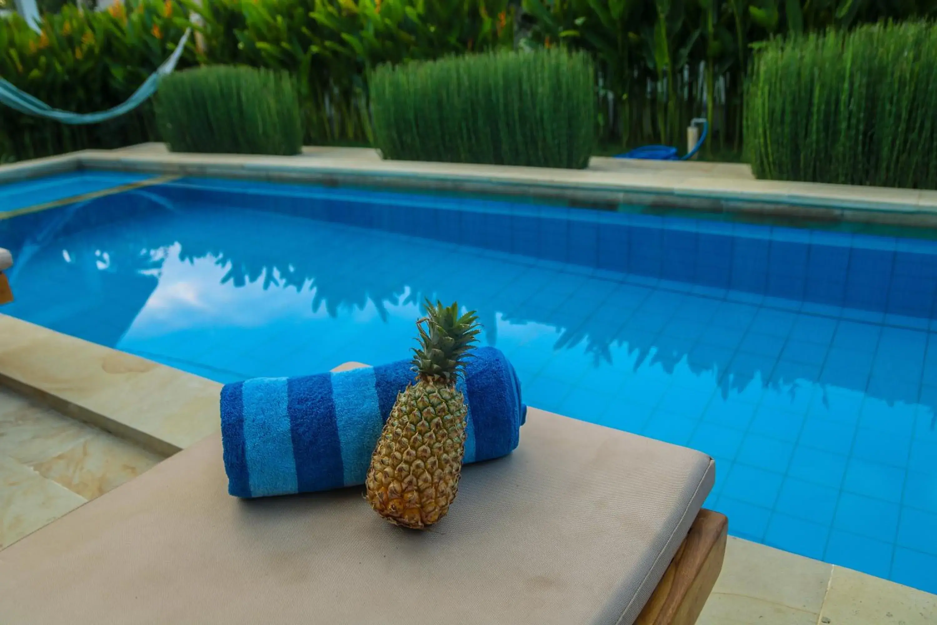 Pool view, Swimming Pool in Cozy Cottages Lombok