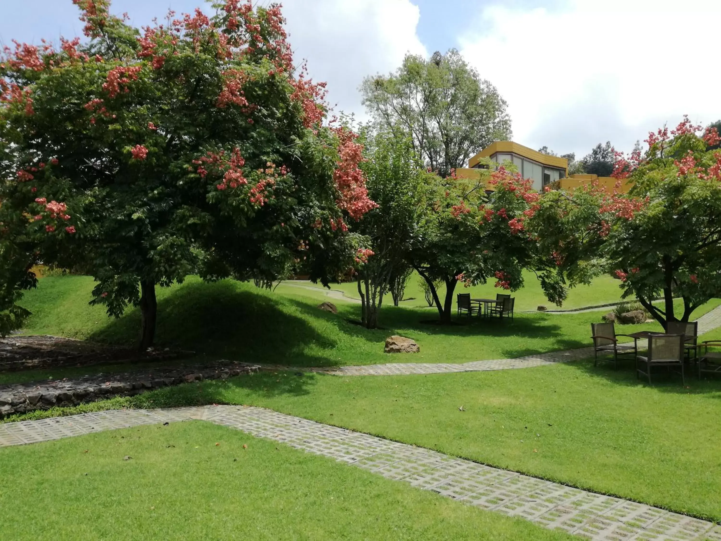 Garden in Hotel Casa en el Campo