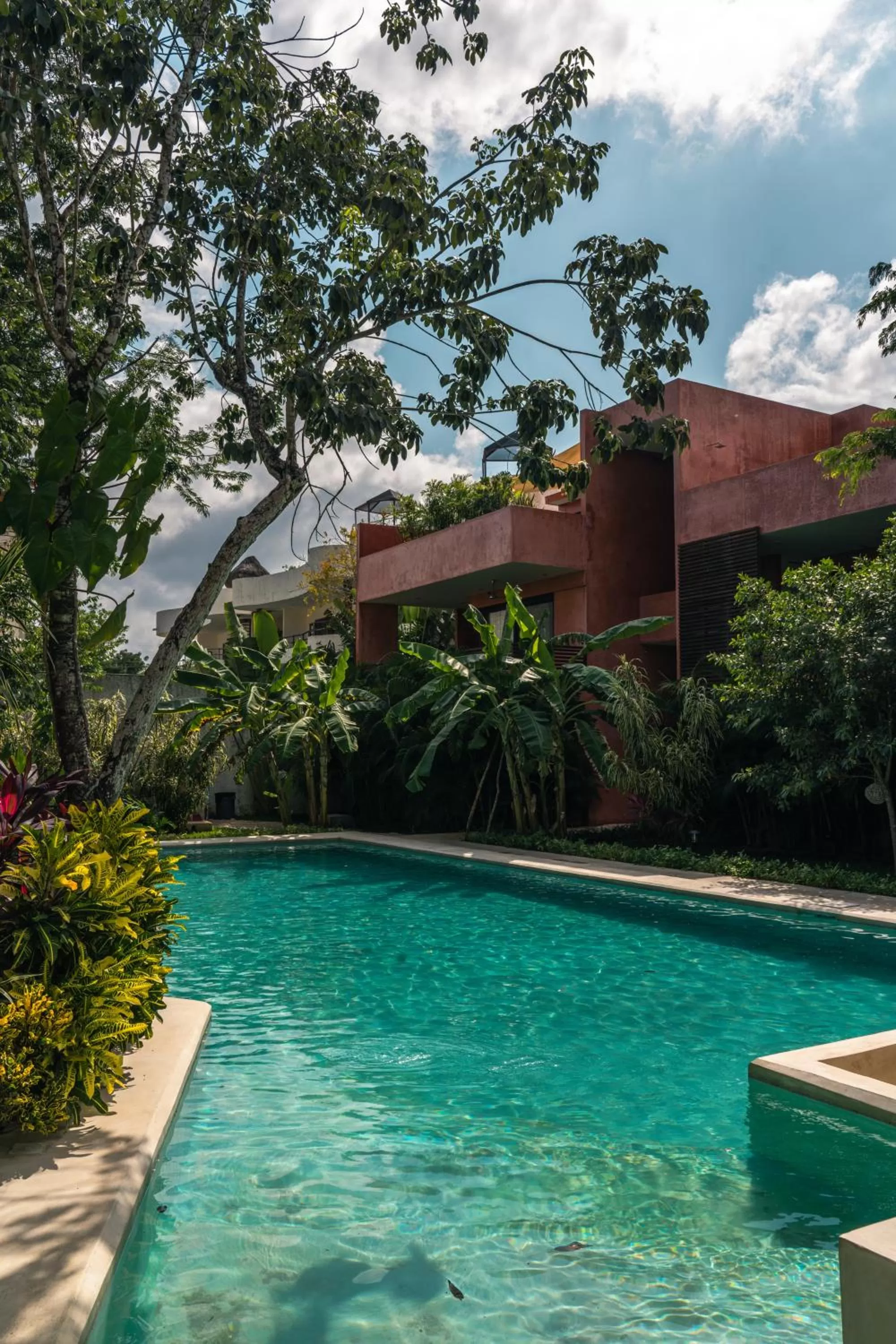 Swimming pool in Panacea Condo Tulum