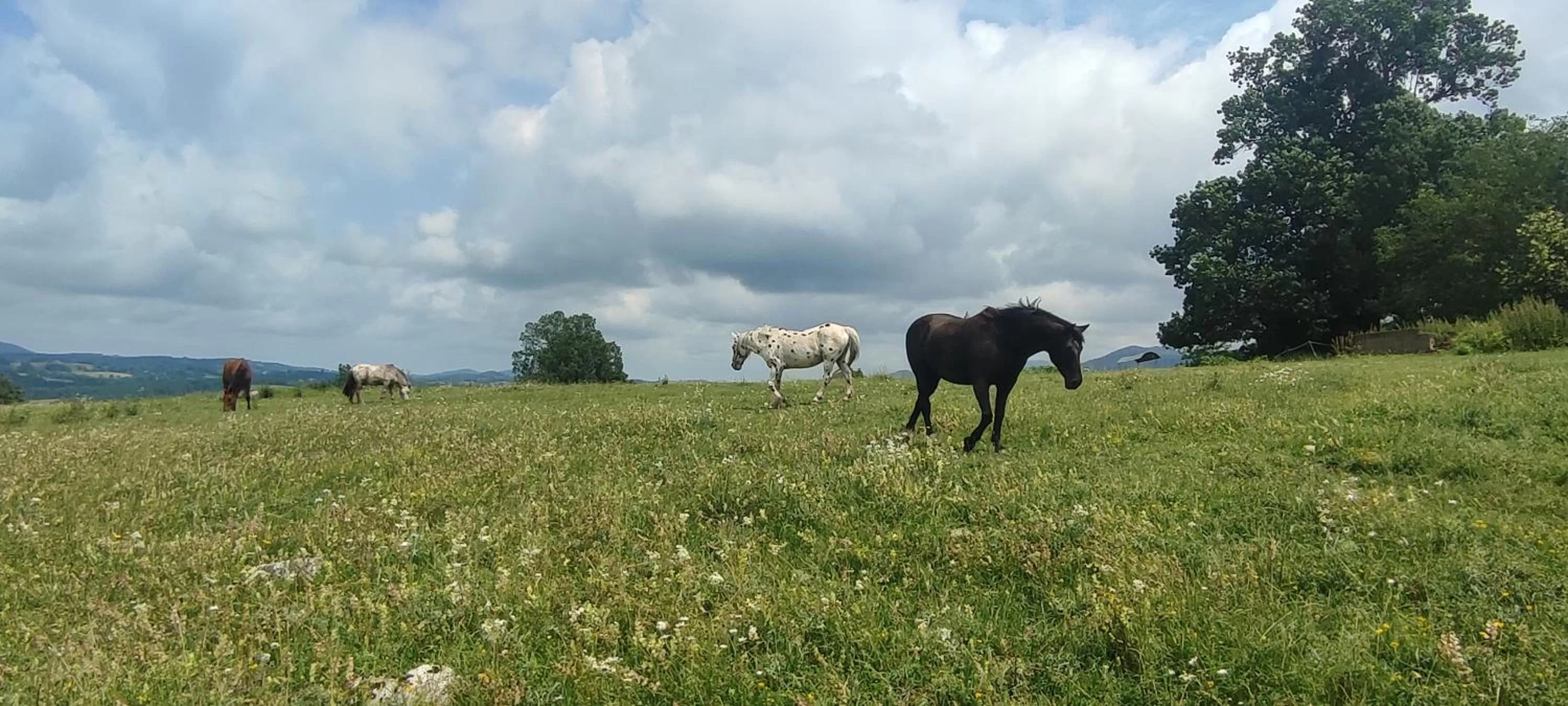 Domaine Le Lanis Chambre d'hôtes avec spa sur réservation