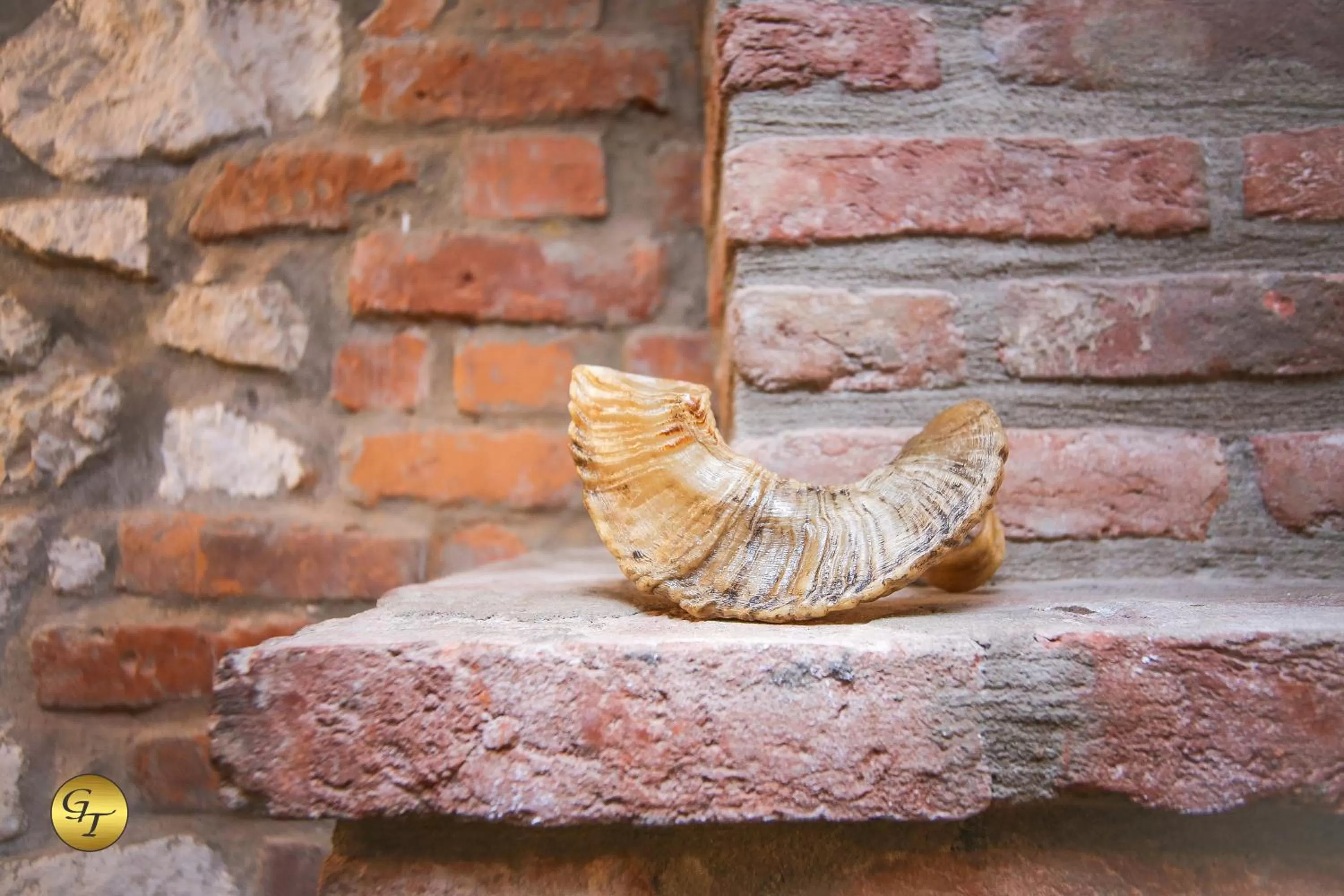 Restaurant/places to eat in Hotel Green Town