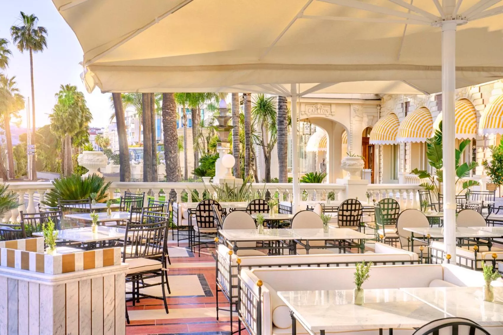 Restaurant/places to eat in Carlton Cannes, a Regent Hotel