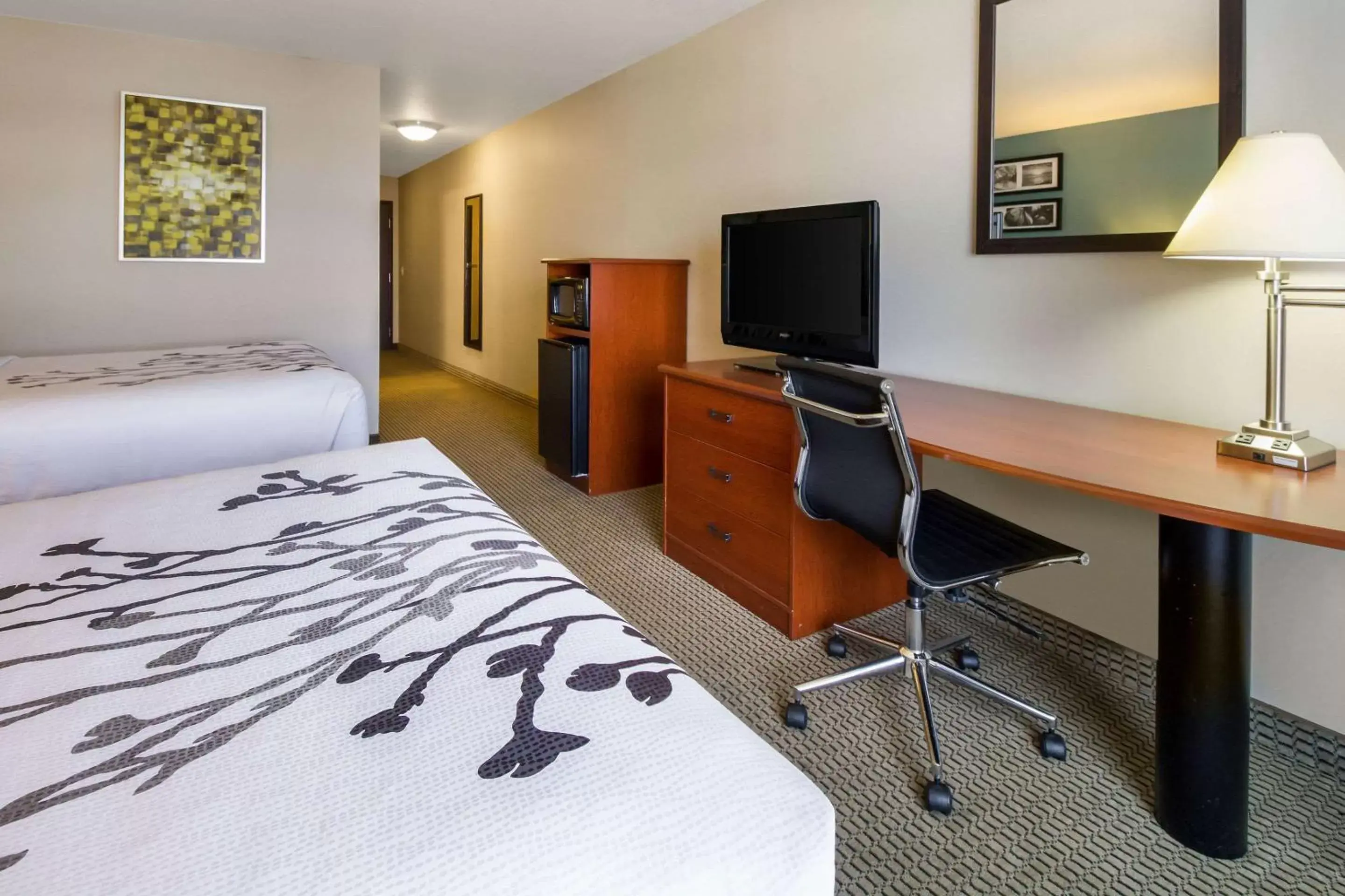 Photo of the whole room, TV/Entertainment Center in Sleep Inn & Suites Rapid City